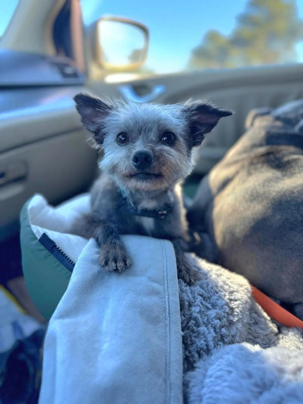 PACO