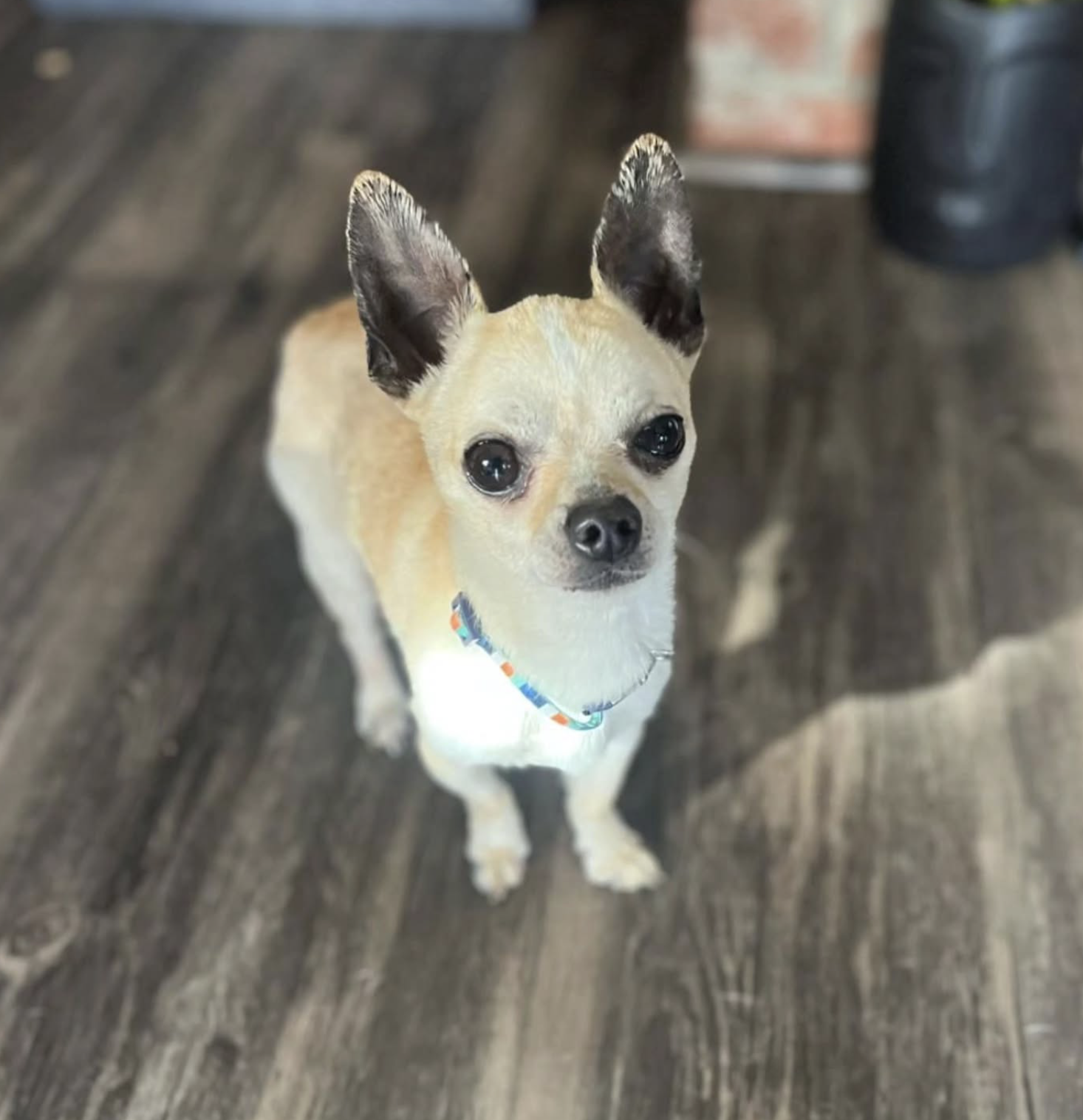 Screenshot 2025-12-14 at 2.37.51 PM.png