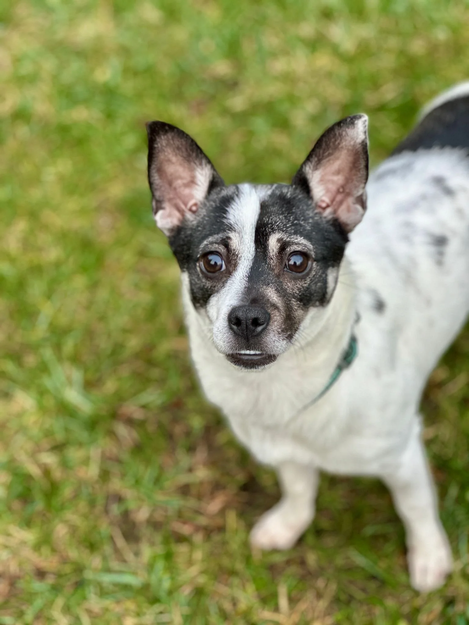 WhatsApp Image 2026-01-21 at 4.18.50 PM.jpeg