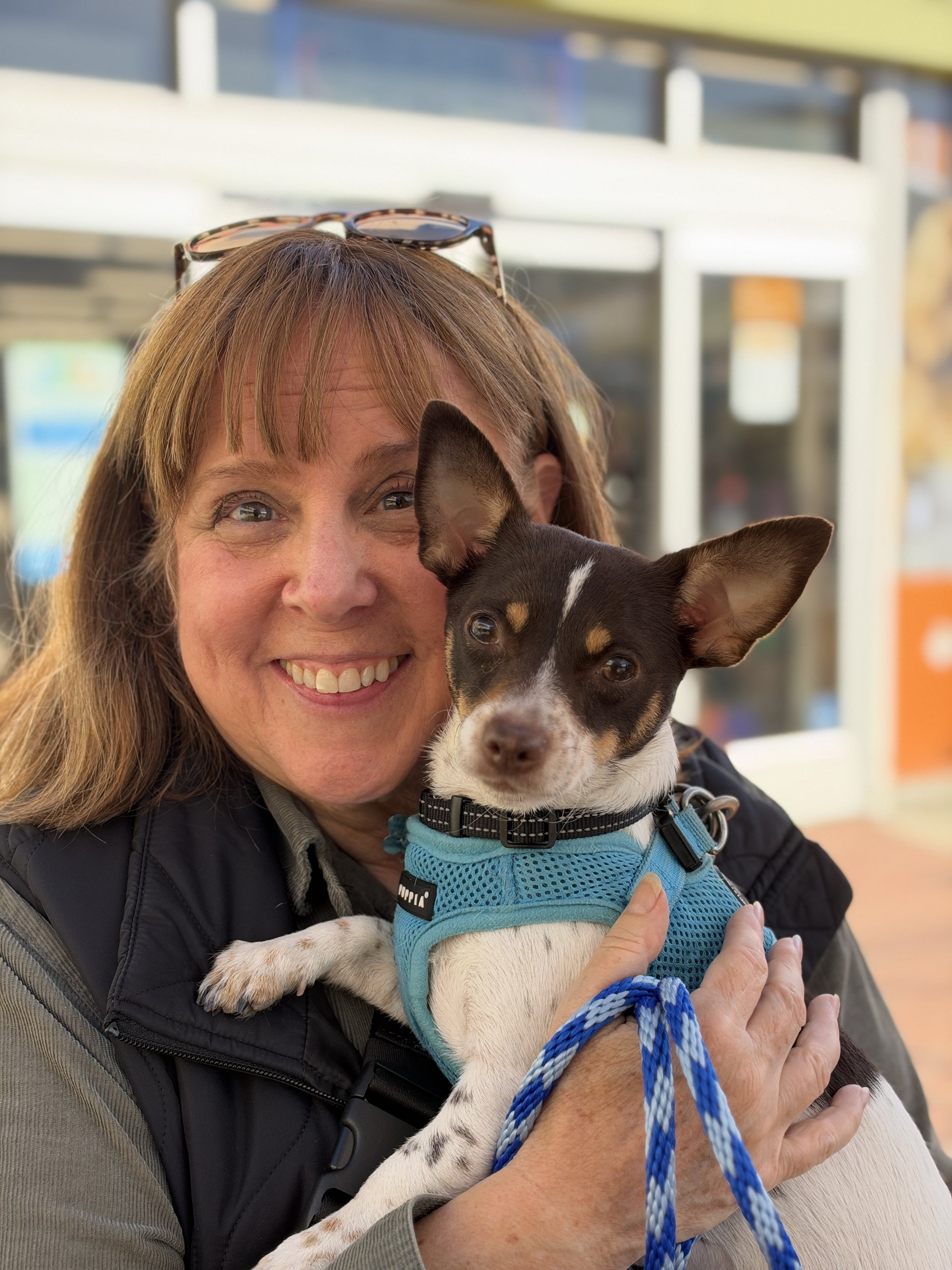 SPRITE - ADOPTED