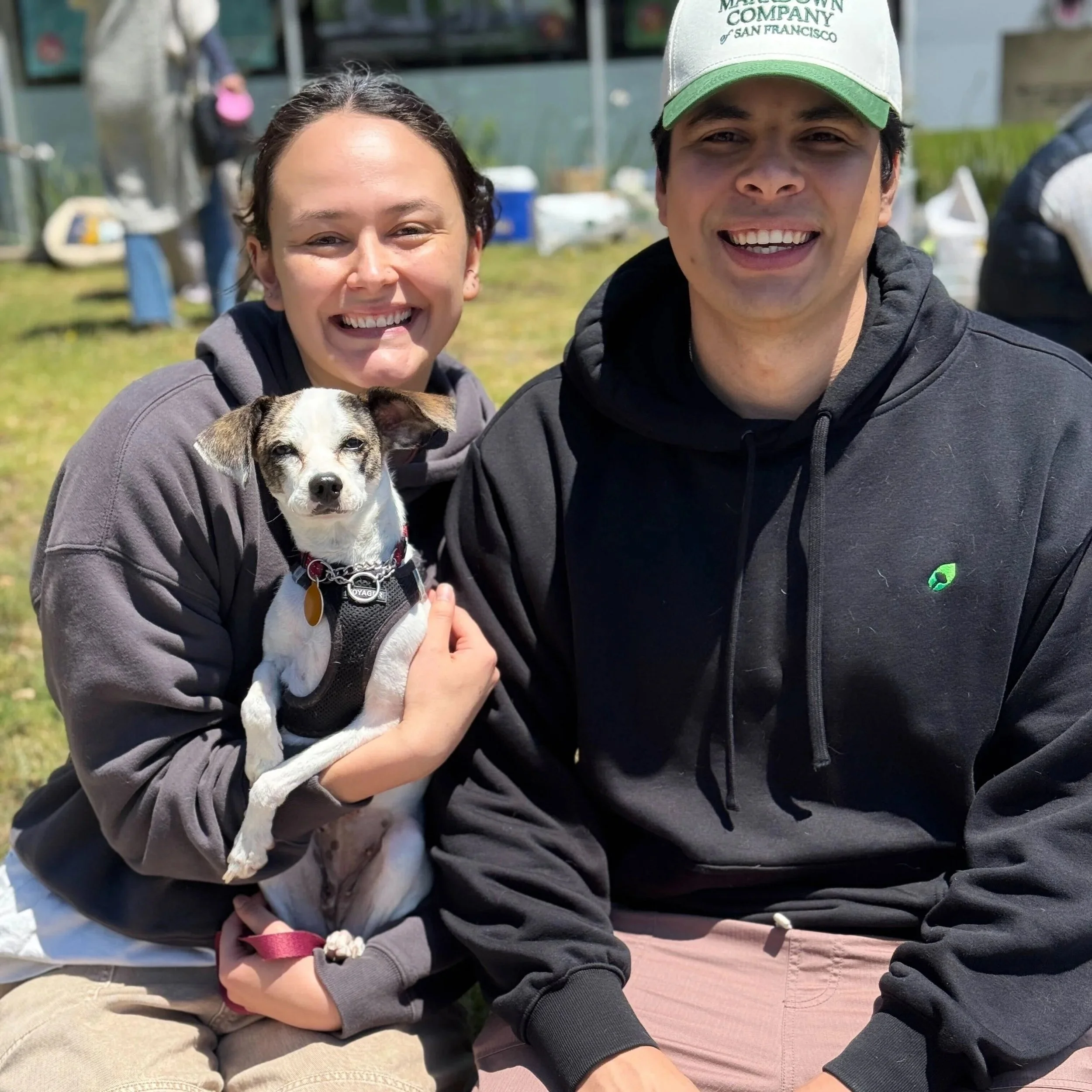 LOUISA - ADOPTED!