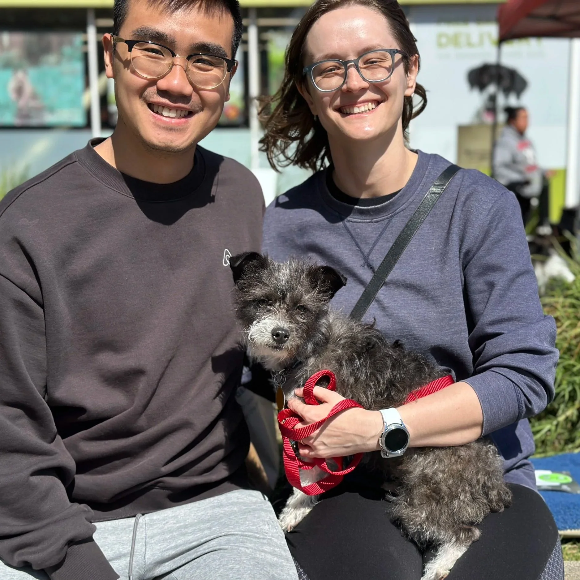 COOPER - ADOPTED