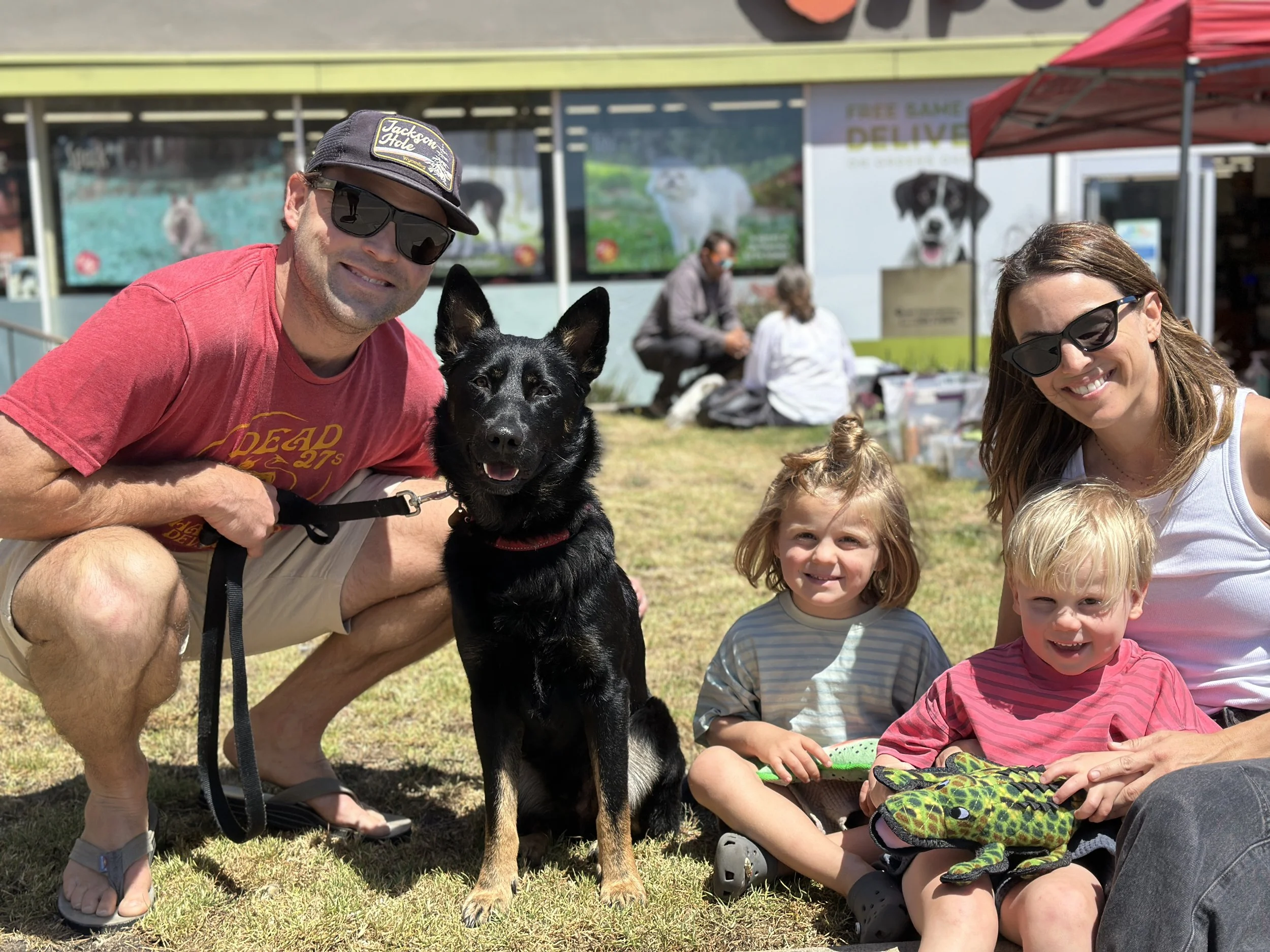 THOR - ADOPTED