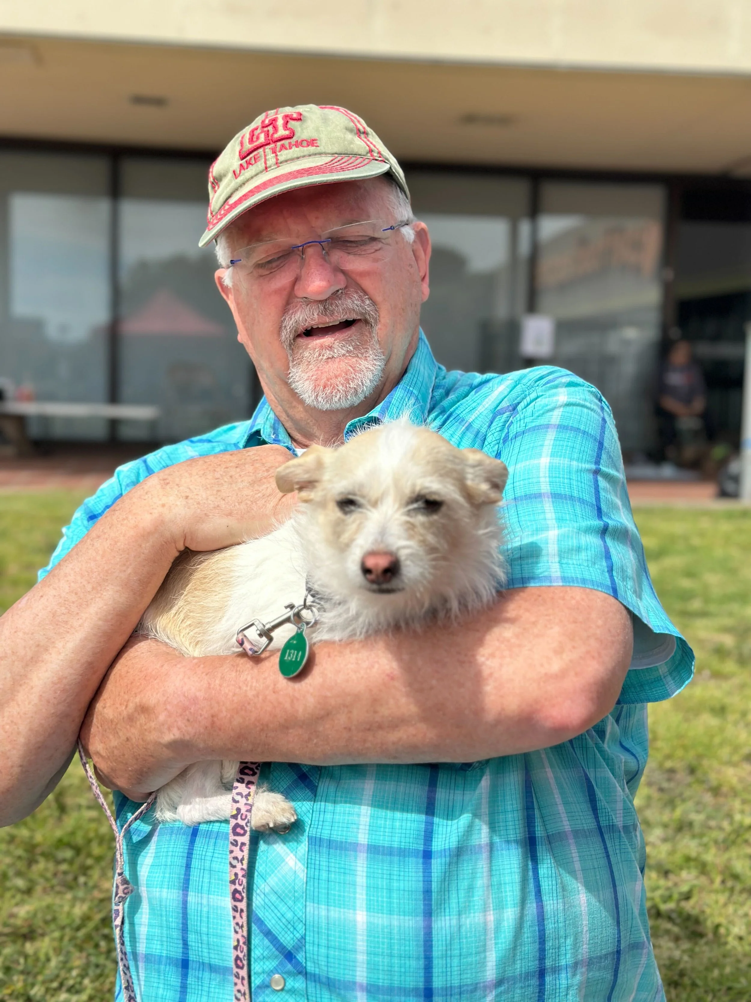 KIARA - ADOPTION PENDING