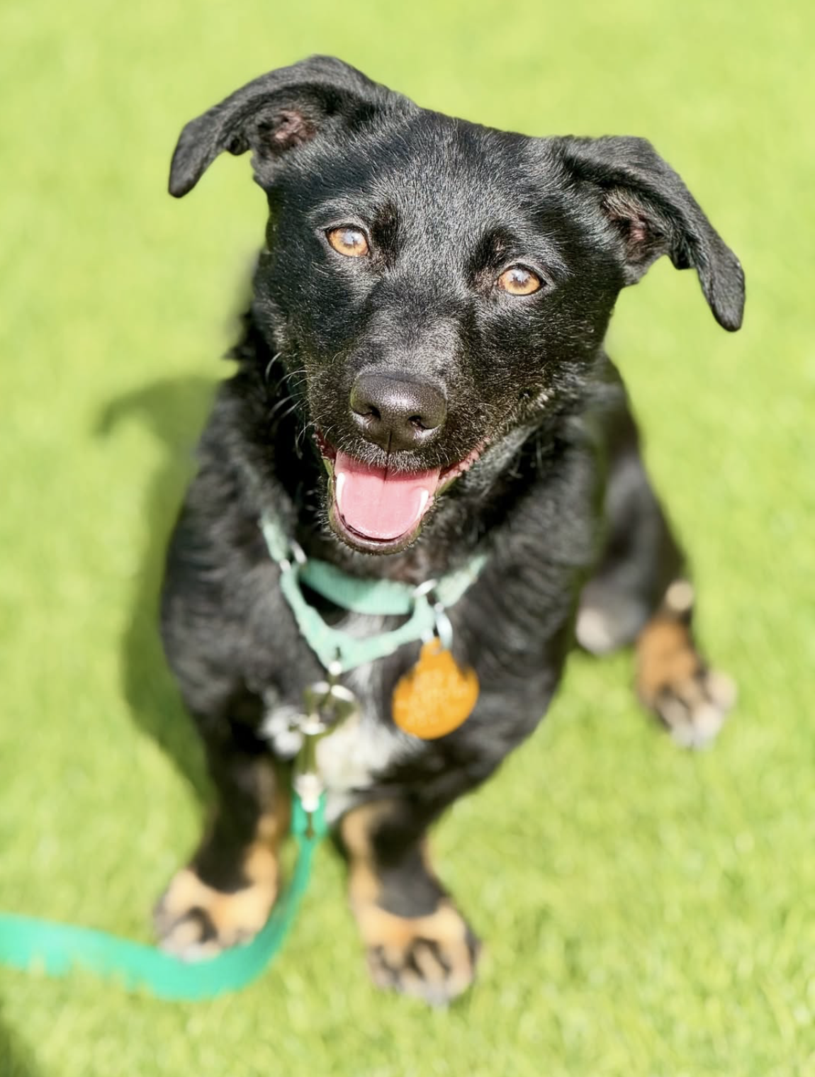 Screenshot 2026-03-26 at 2.55.49 PM.png