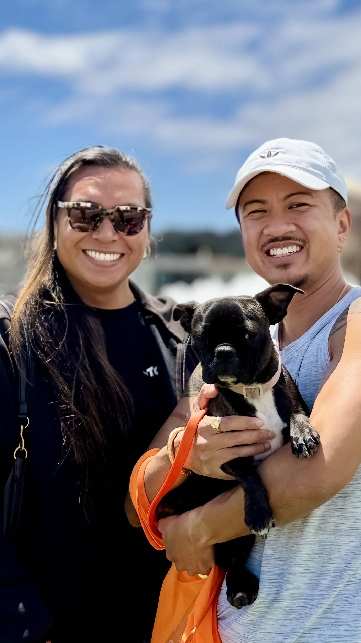 BELLA- ADOPTED!
