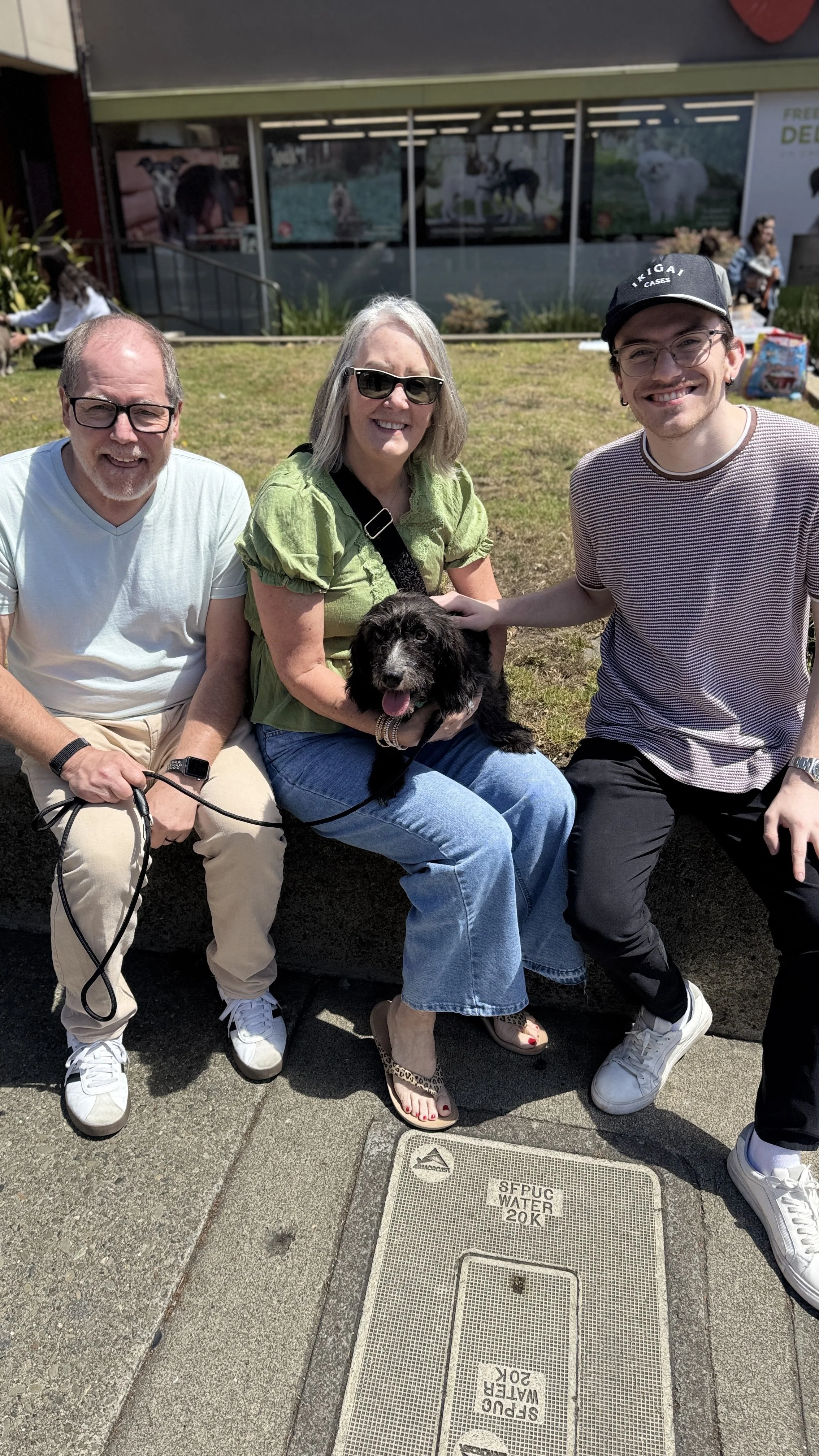 LAYDEE- ADOPTED!