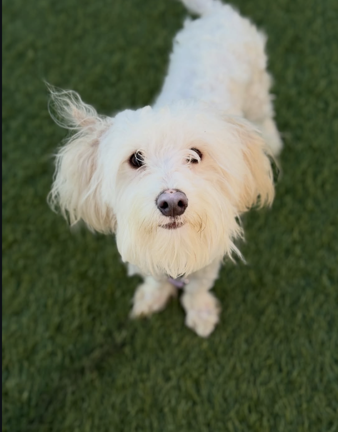 Screenshot 2026-03-26 at 2.58.00 PM.png