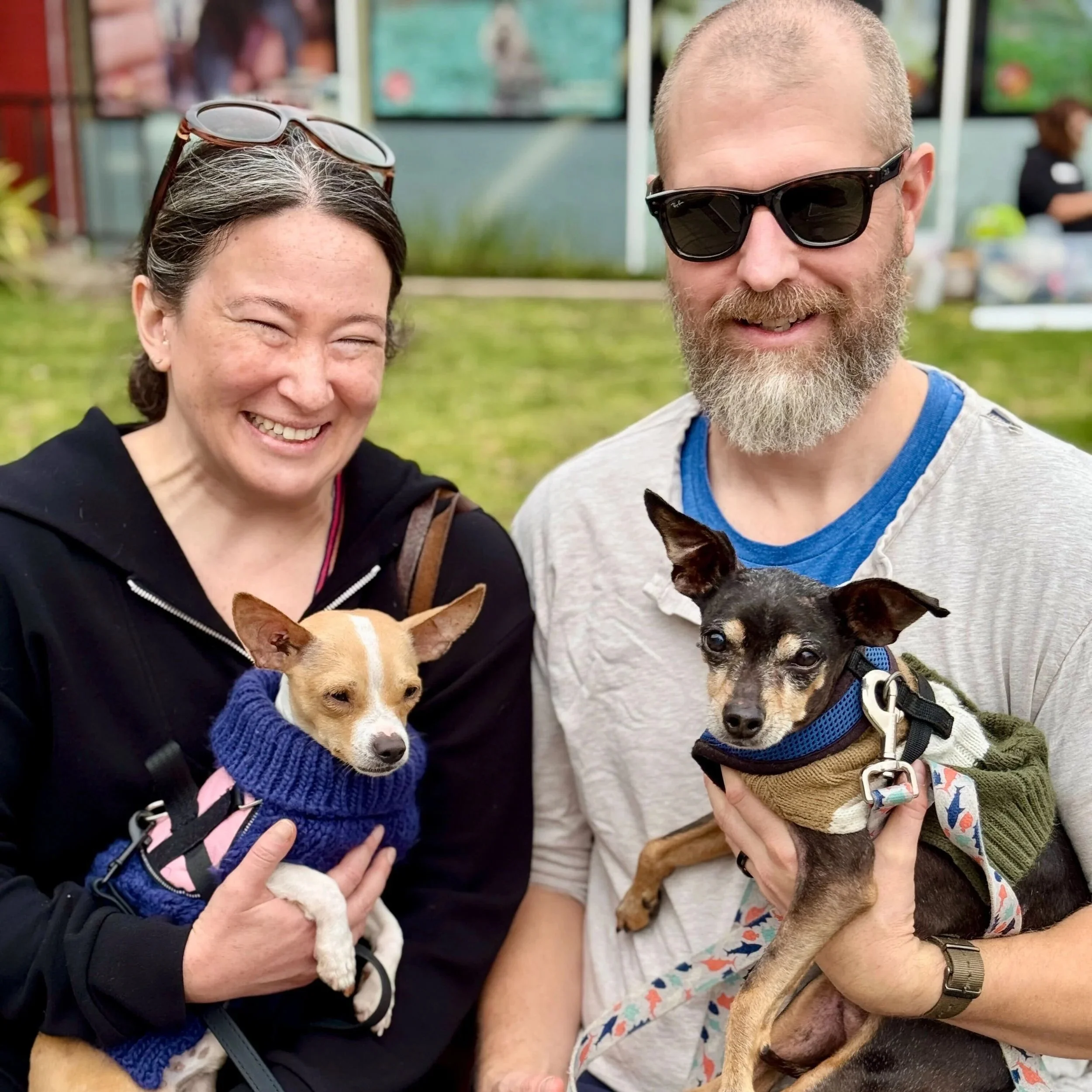 ELTON - ADOPTED