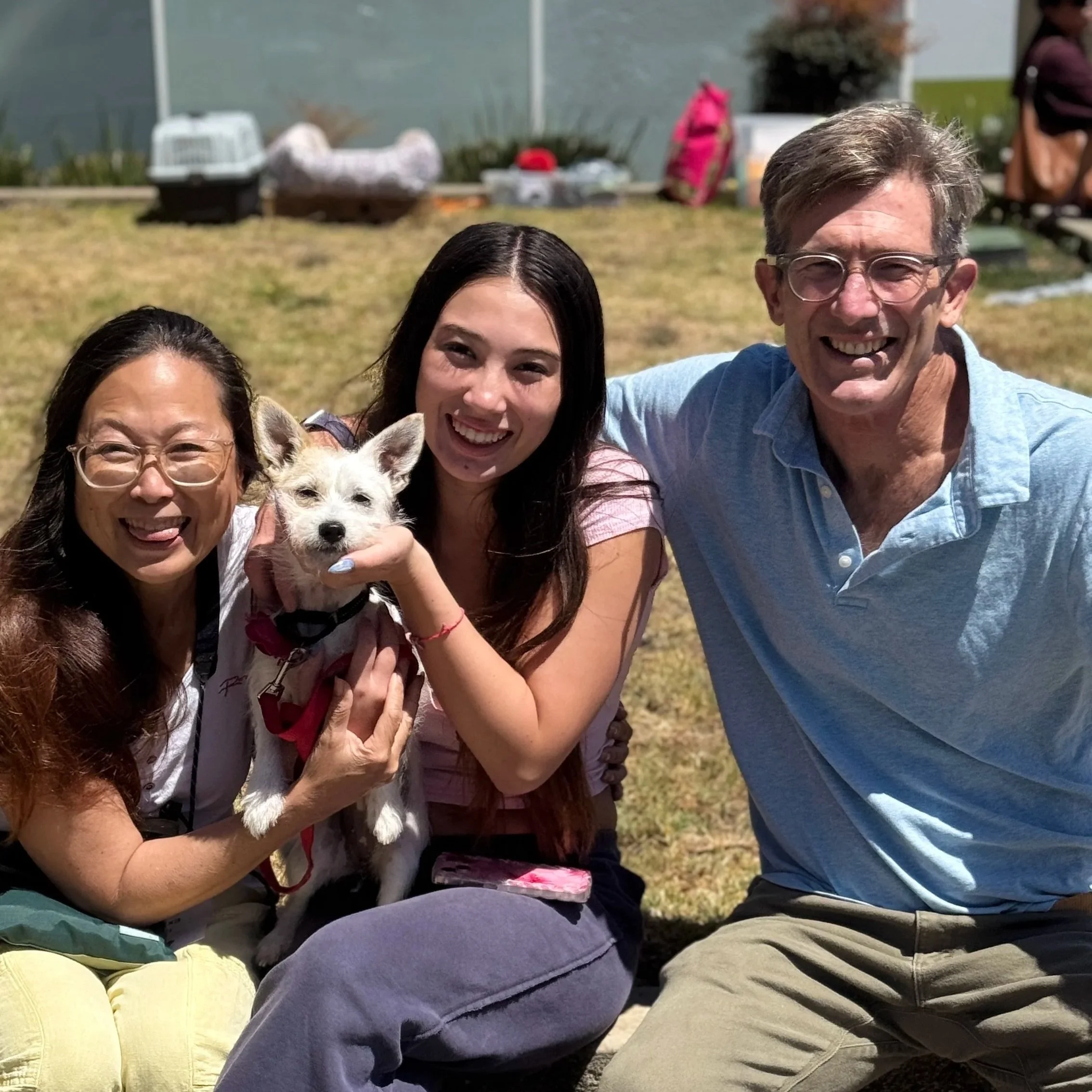 LIBERTY - ADOPTED