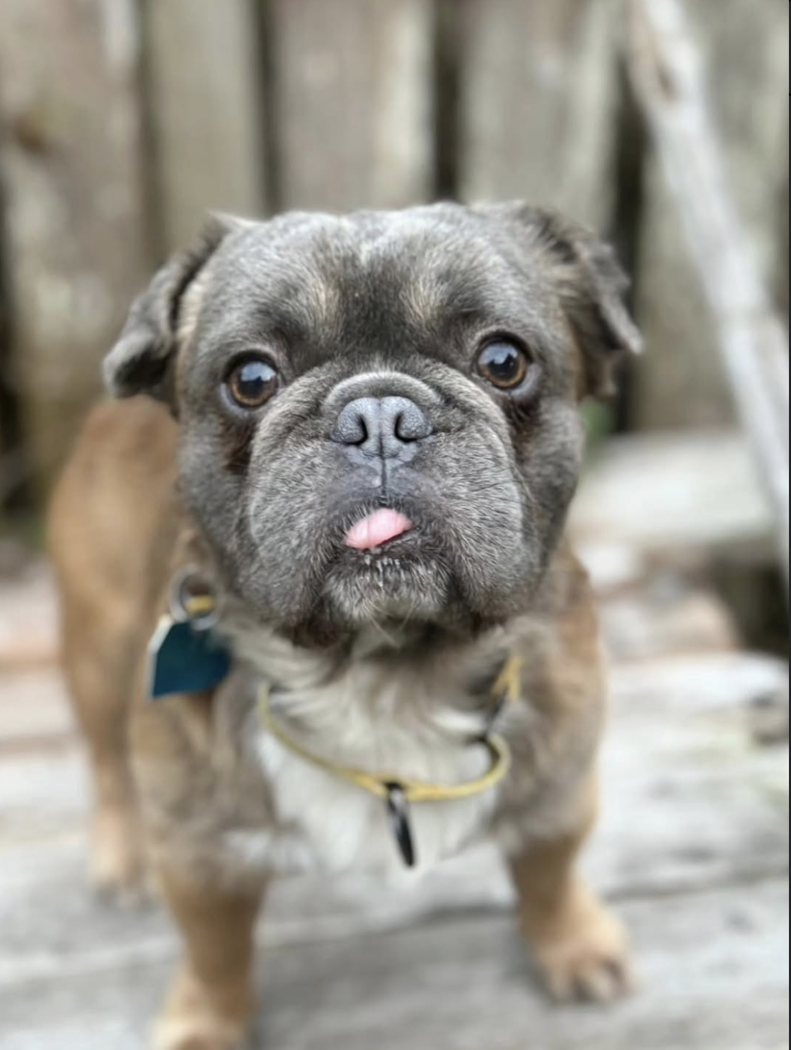 Screenshot 2025-10-09 at 7.37.36 PM.png