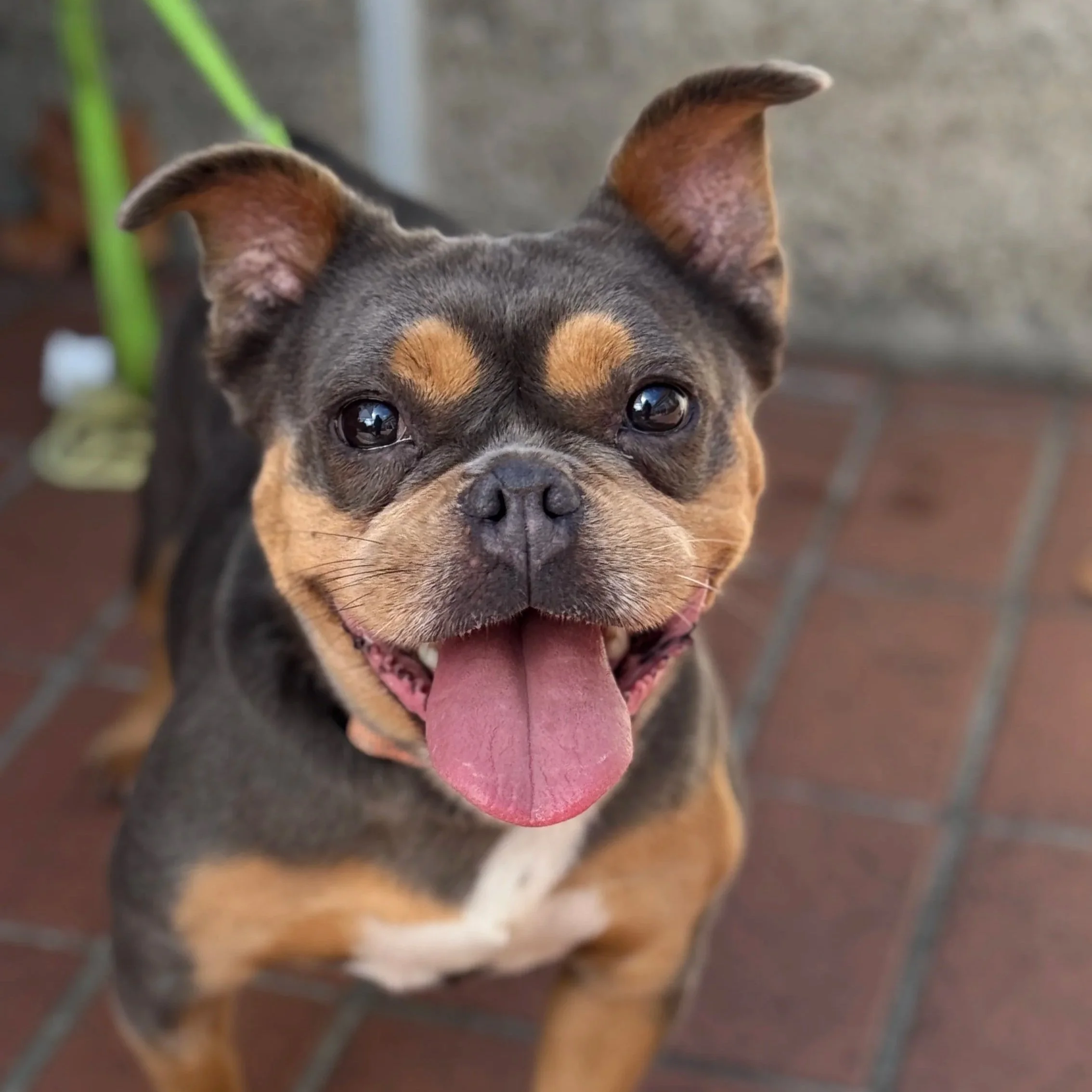 IMG_9572.jpg