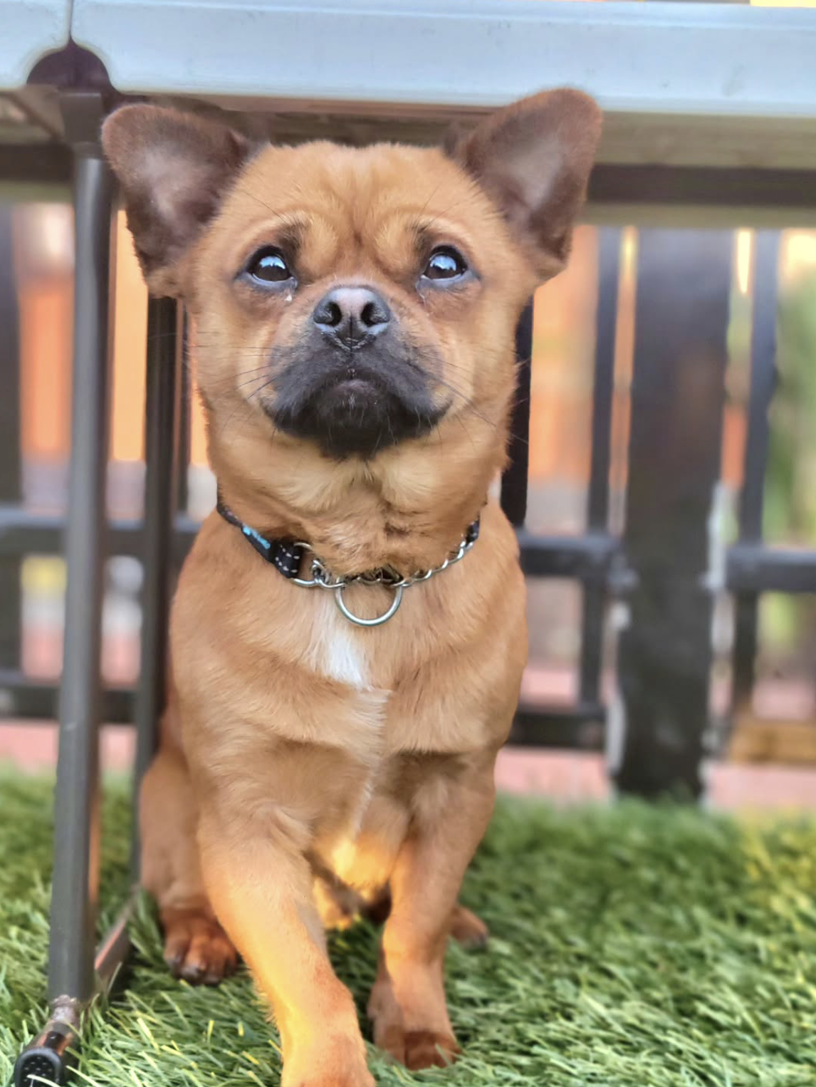 Screenshot 2026-03-26 at 2.43.28 PM.png