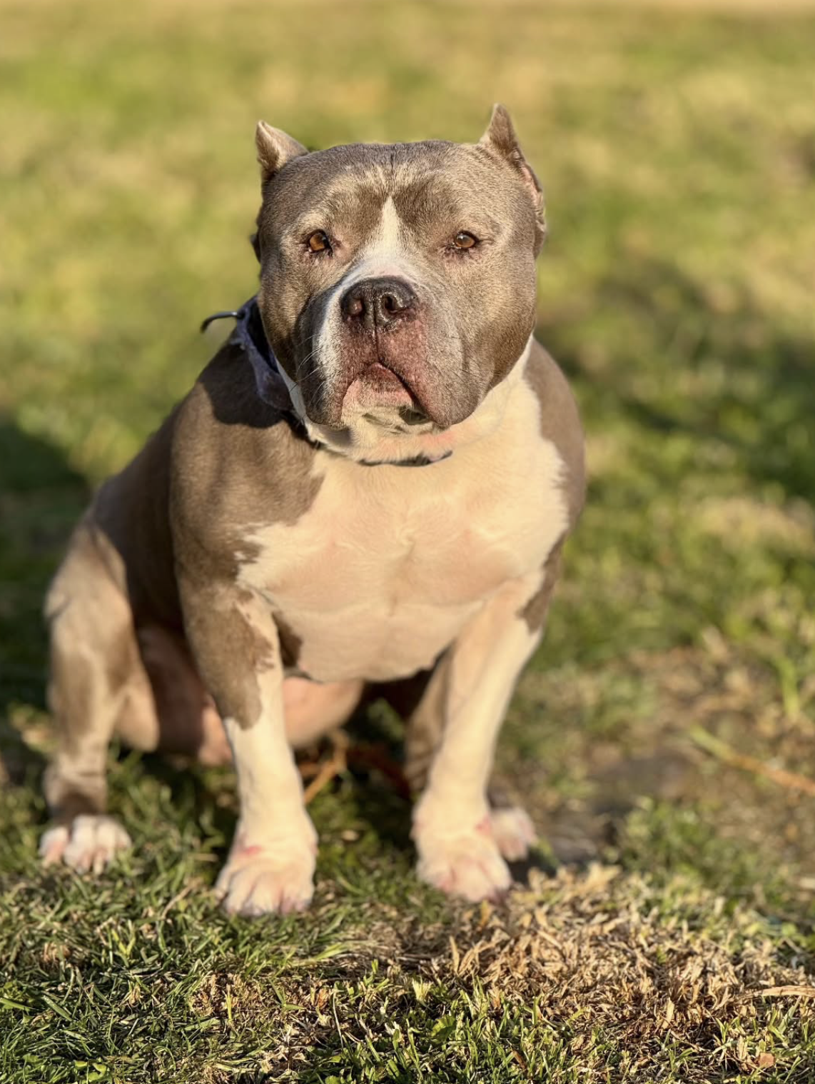 Screenshot 2025-12-16 at 2.06.57 PM.png