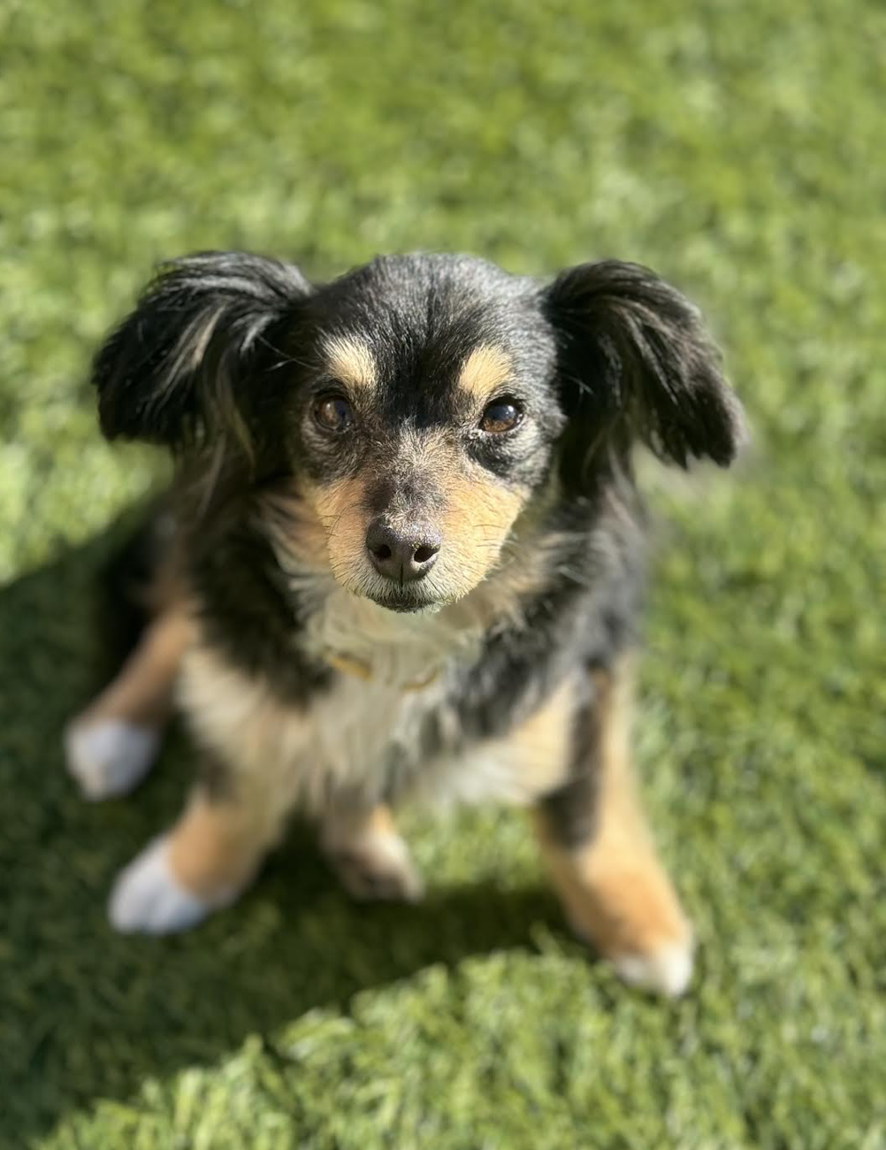 Screenshot 2026-03-26 at 3.16.23 PM.png