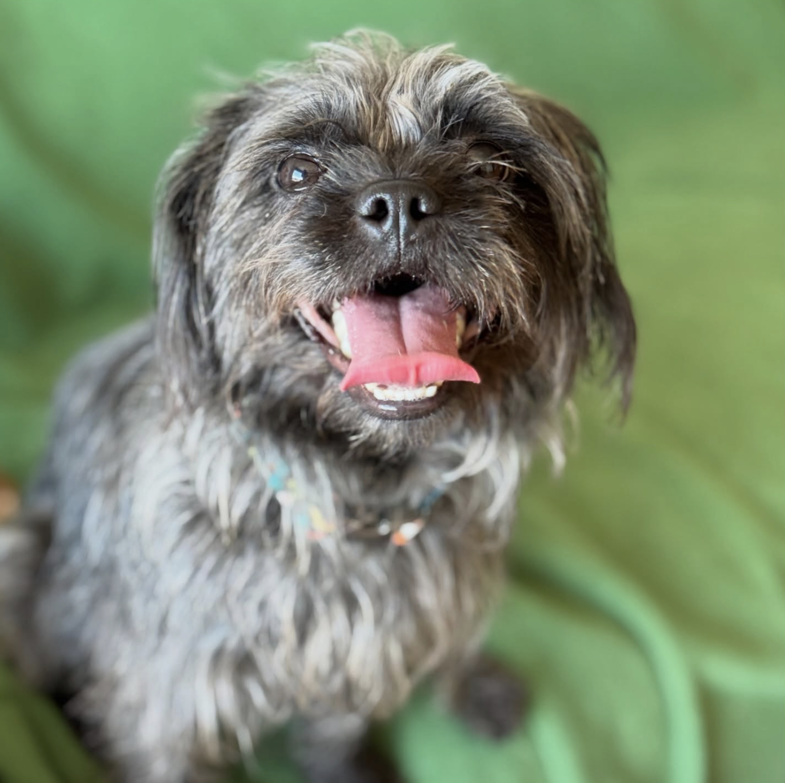 Screenshot 2026-03-26 at 2.52.39 PM.png