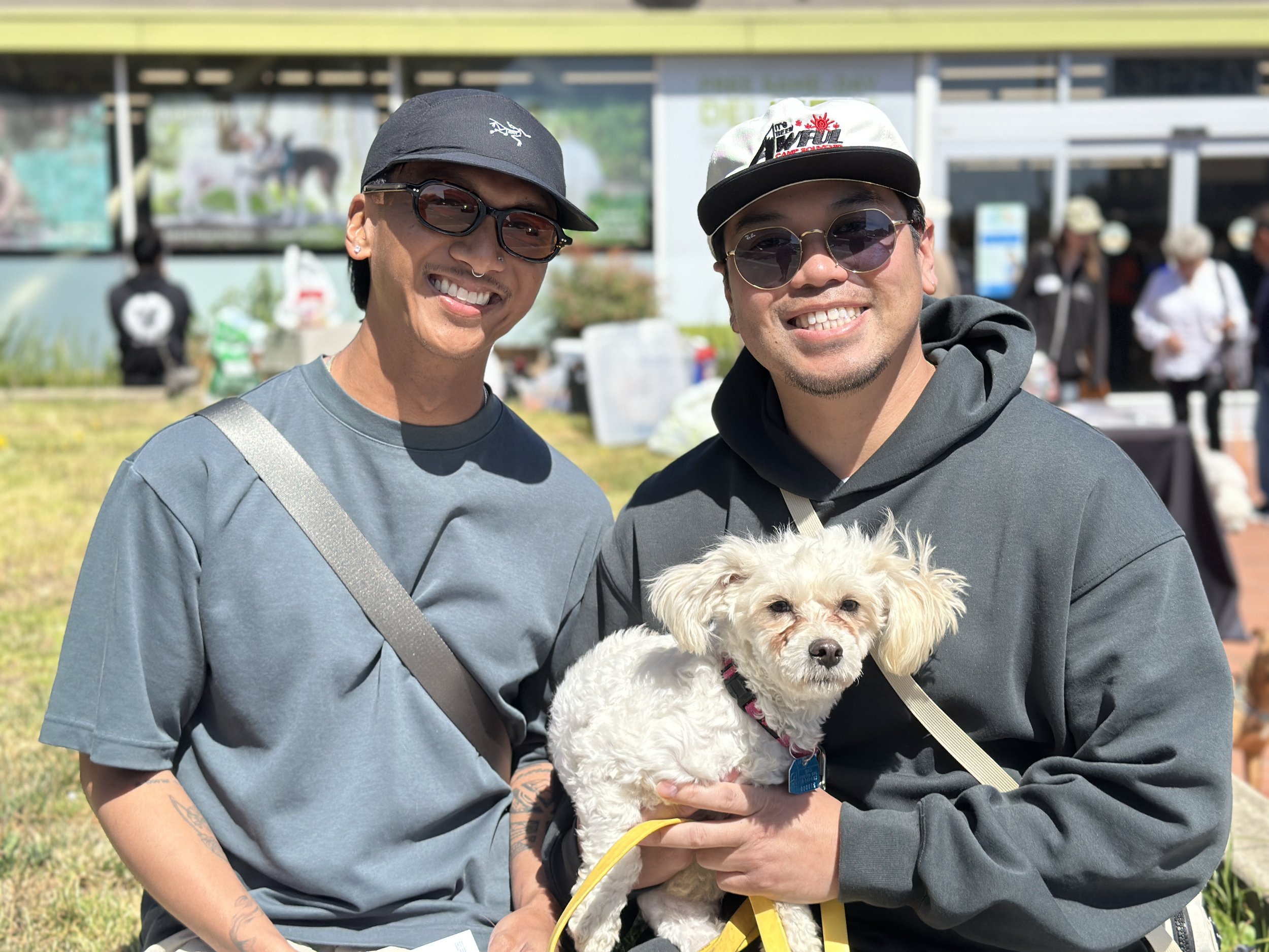 DASHIELL - ADOPTED!