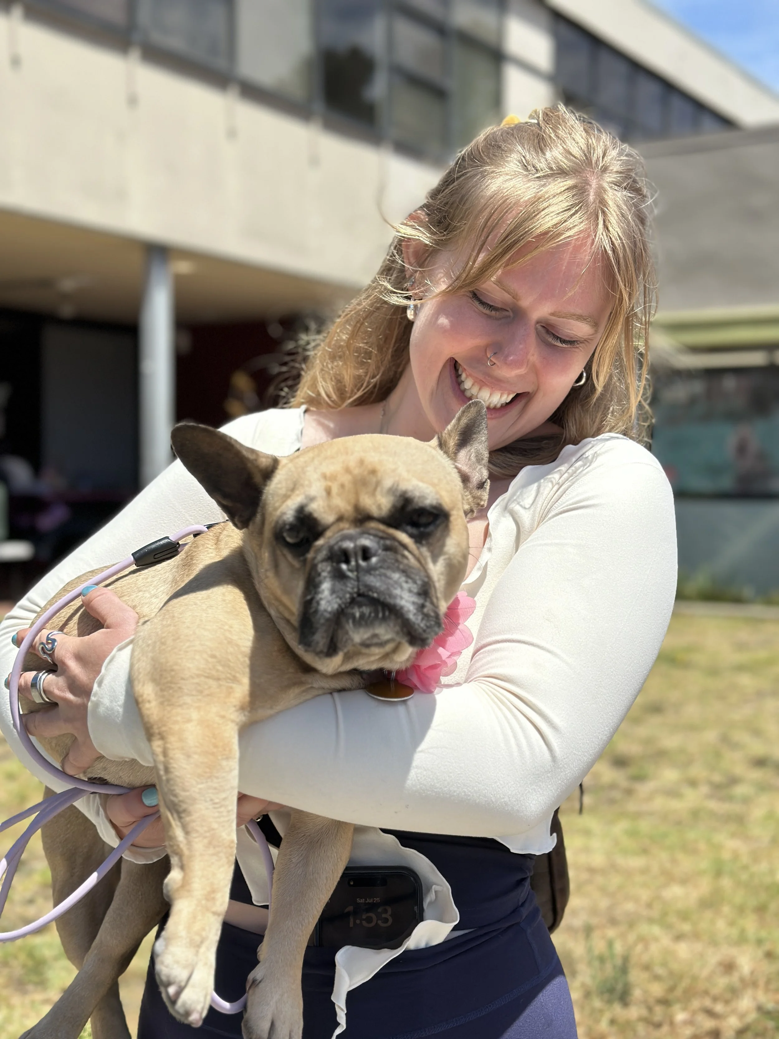 BUTTERSCOTCH - ADOPTED