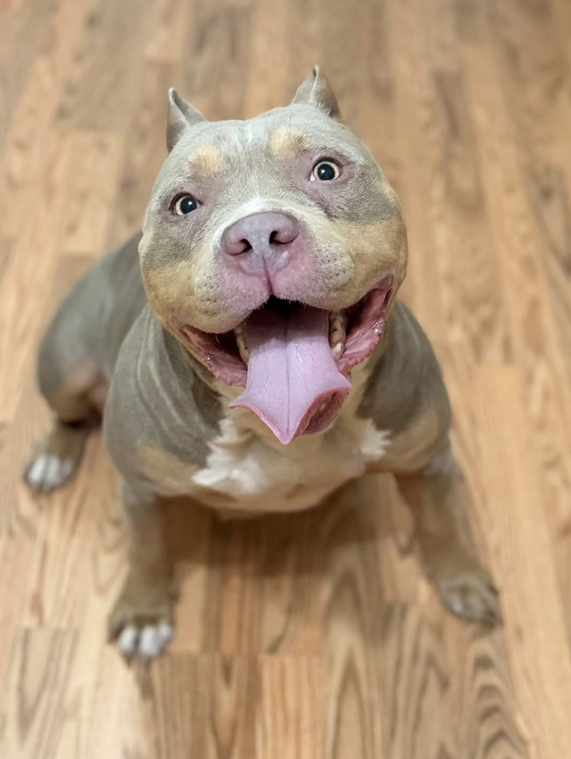 Screenshot 2026-03-26 at 2.54.06 PM.png