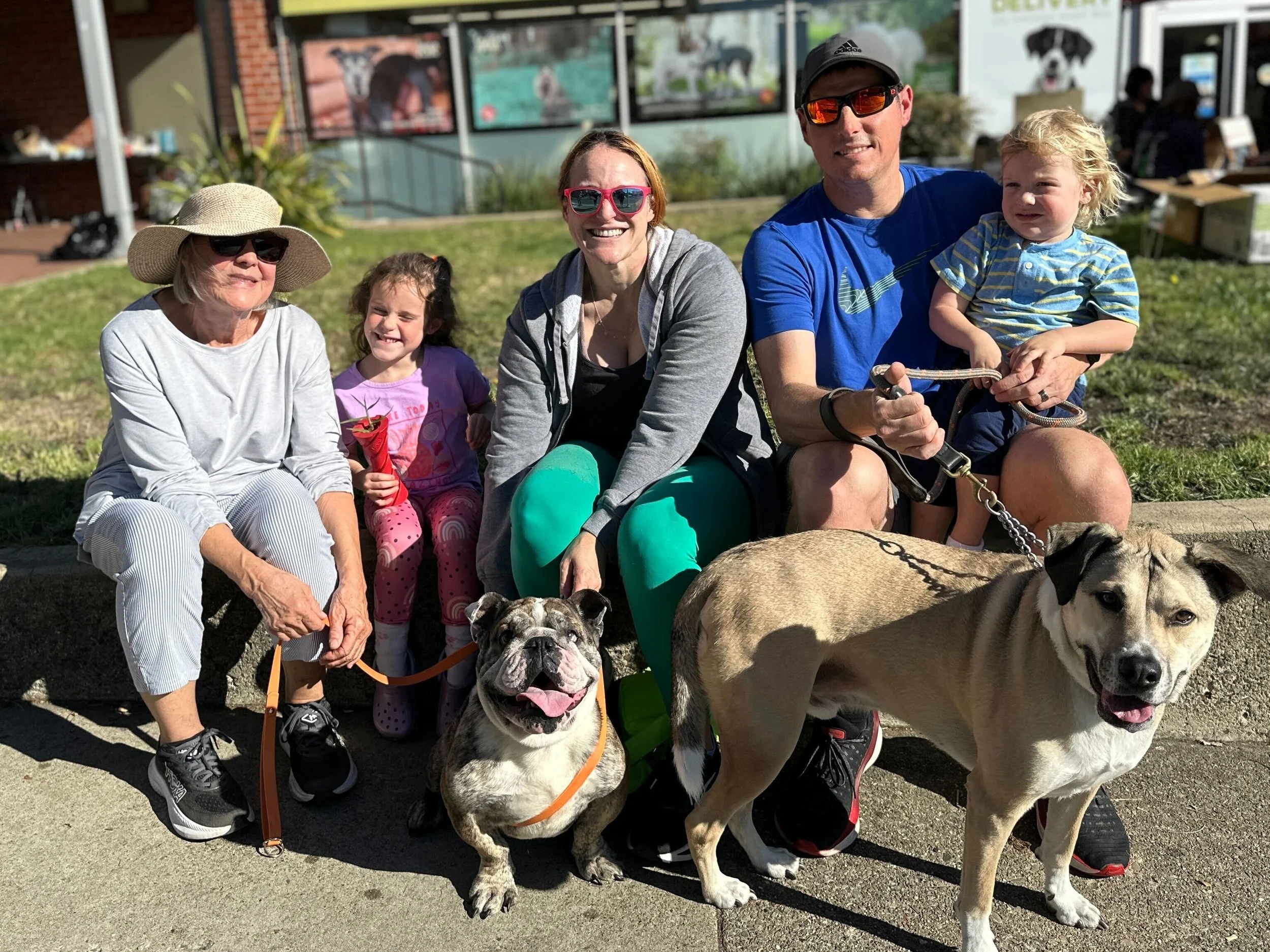 BOOMER- ADOPTED!