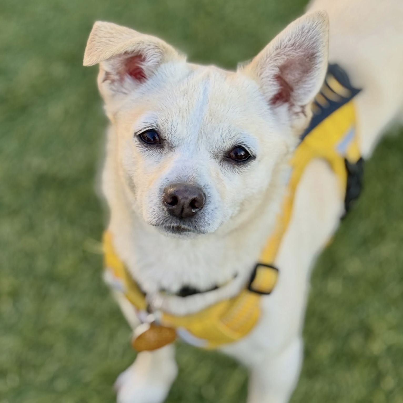 Screenshot 2026-03-26 at 2.51.24 PM.png