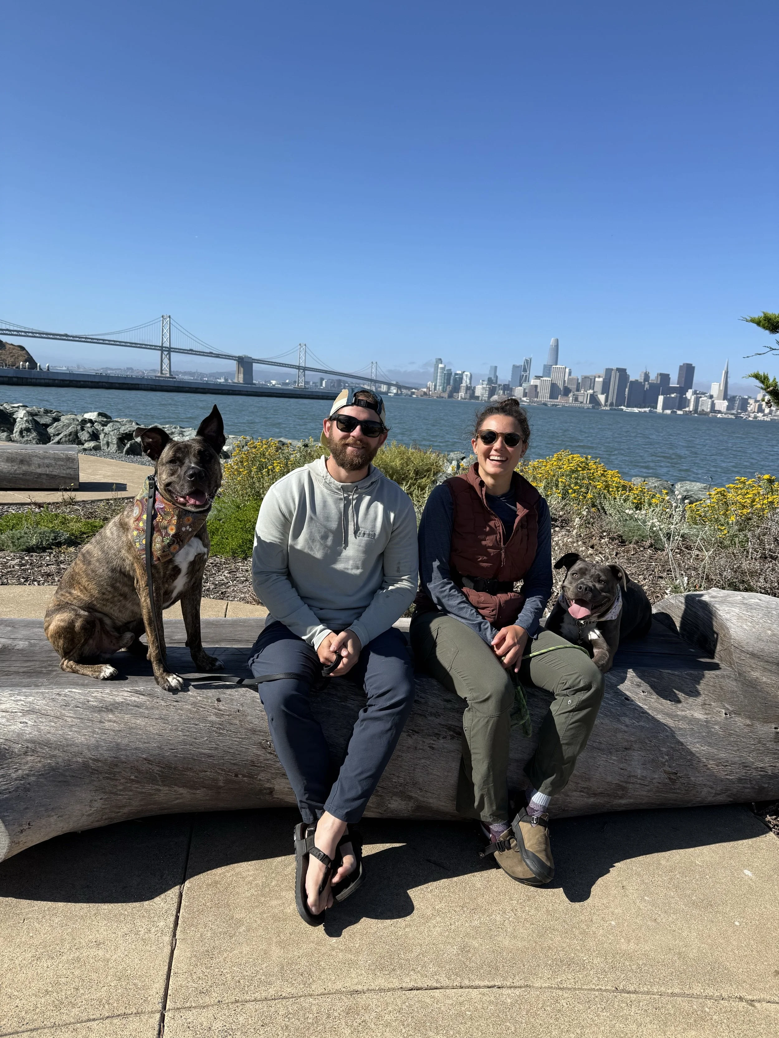 GRACIE- ADOPTED