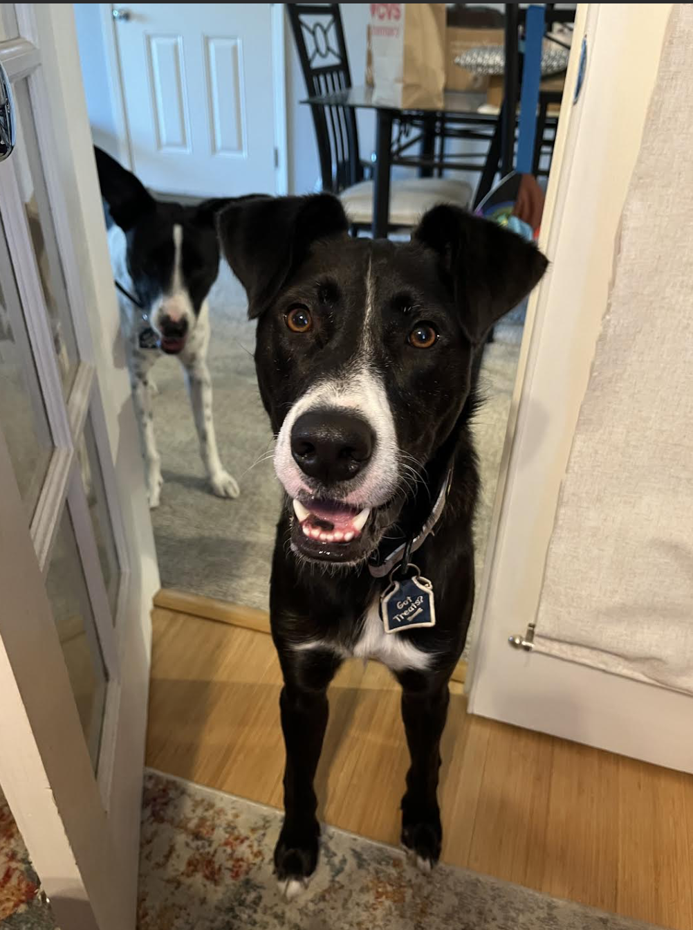 Screenshot 2025-12-07 at 9.03.58 PM.png