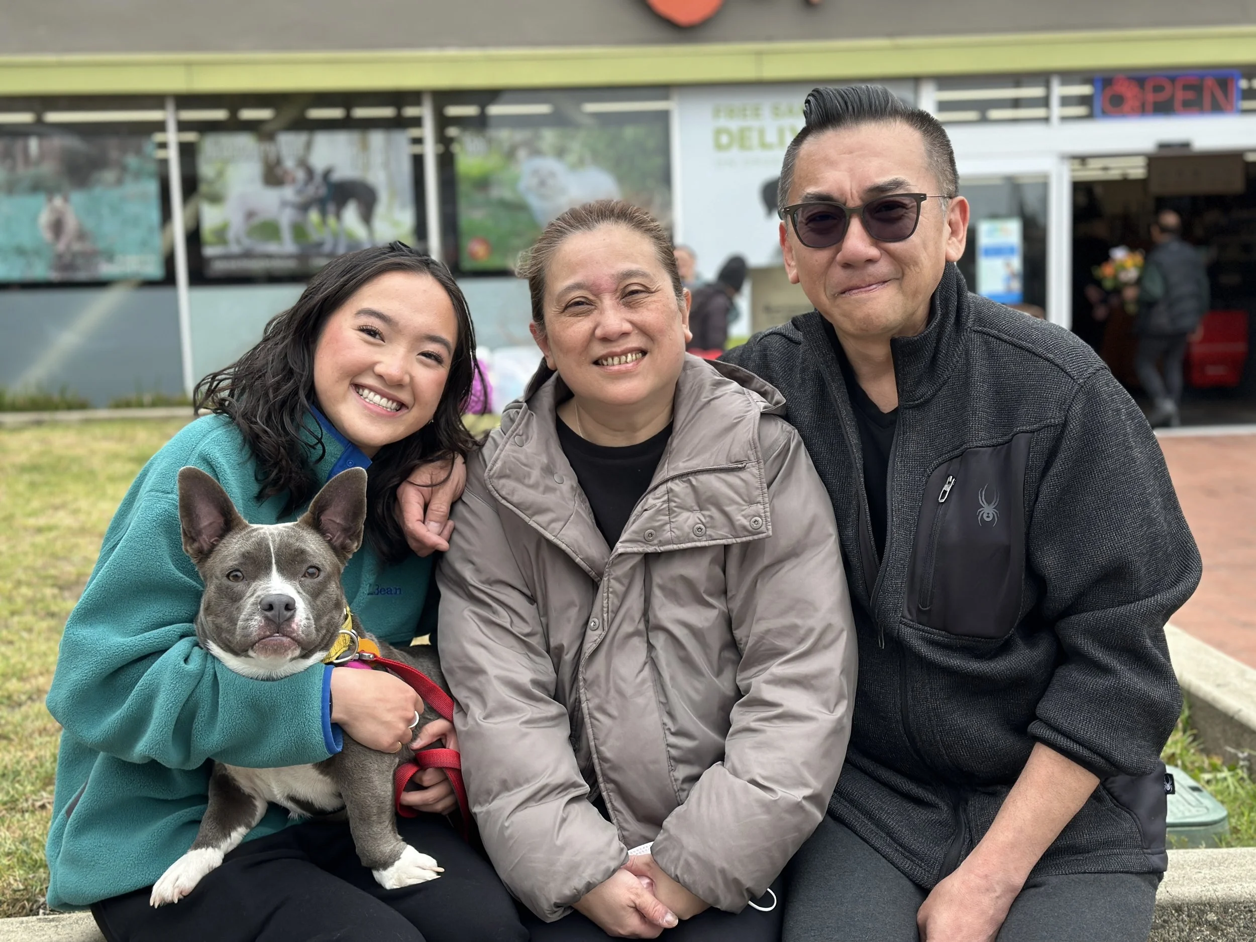 BITSY- ADOPTED!