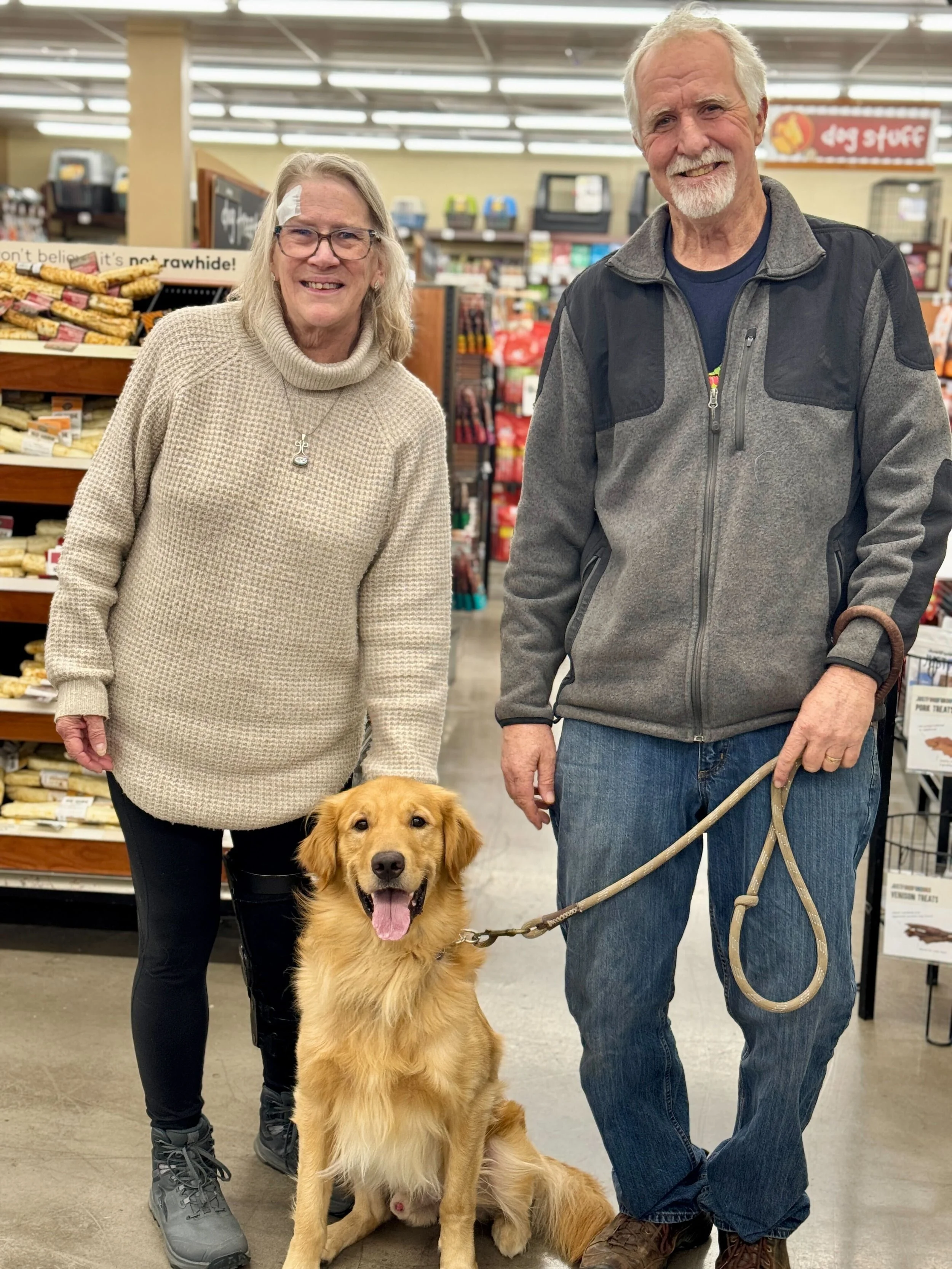 MILO - ADOPTED!