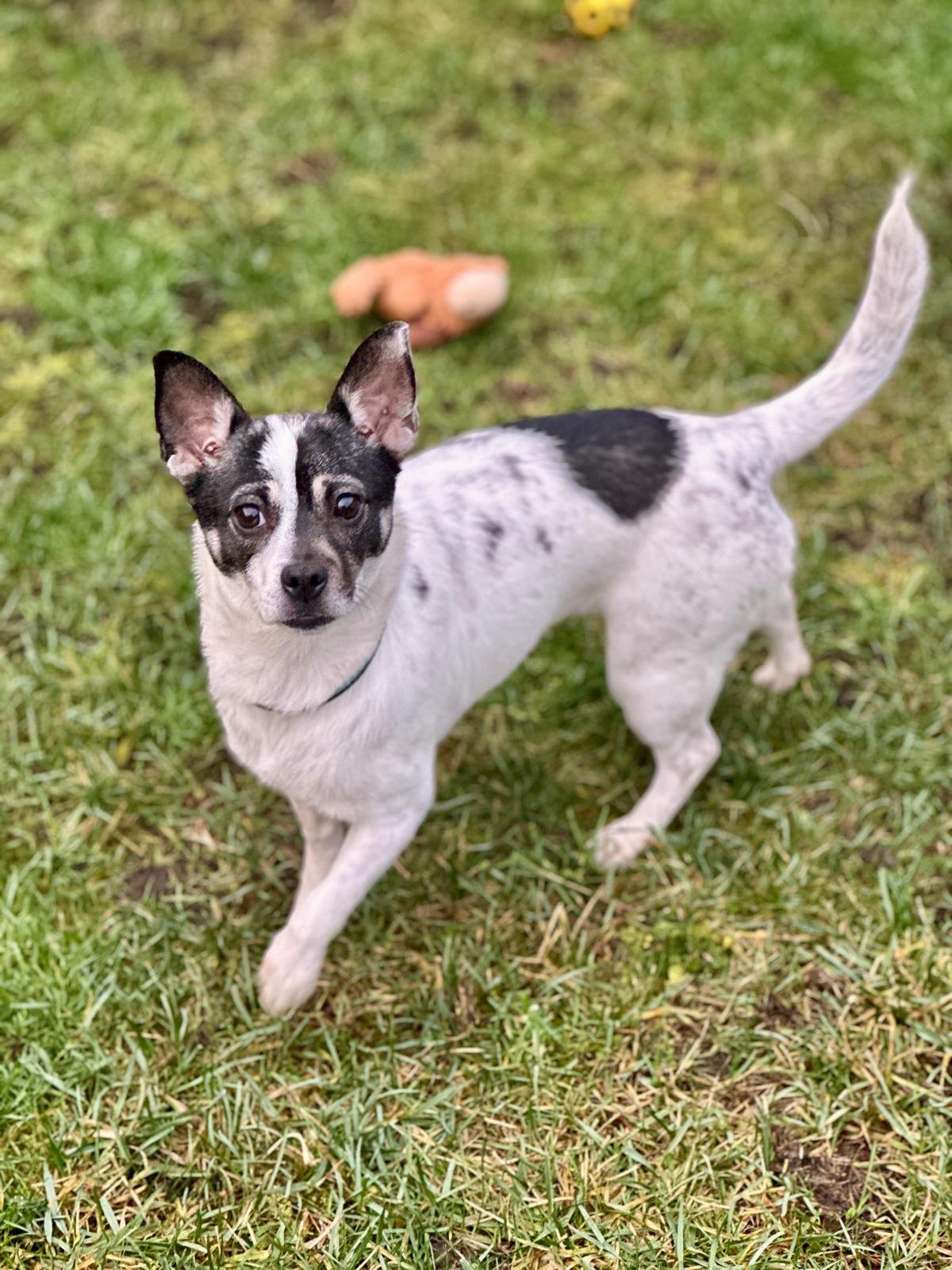 WhatsApp Image 2026-01-21 at 4.19.59 PM.jpeg