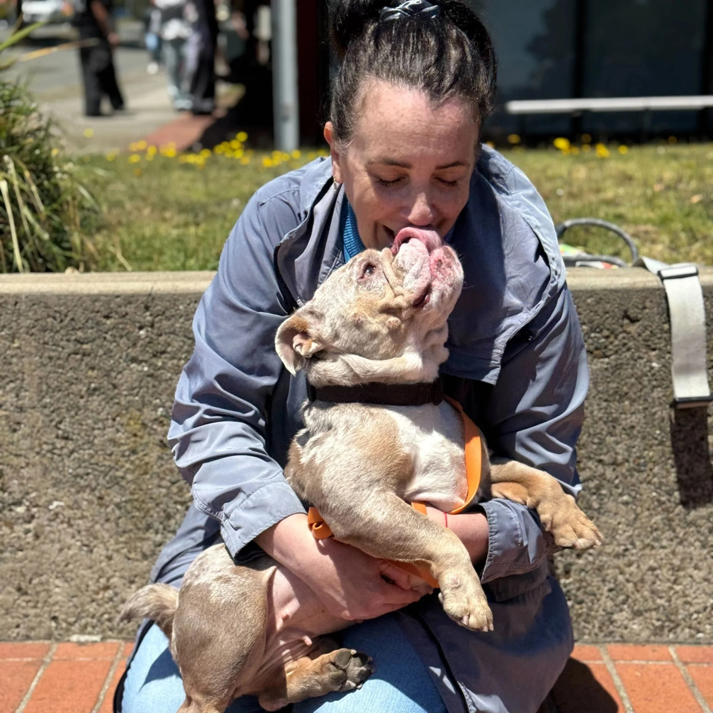 TSUNAMI - ADOPTED!