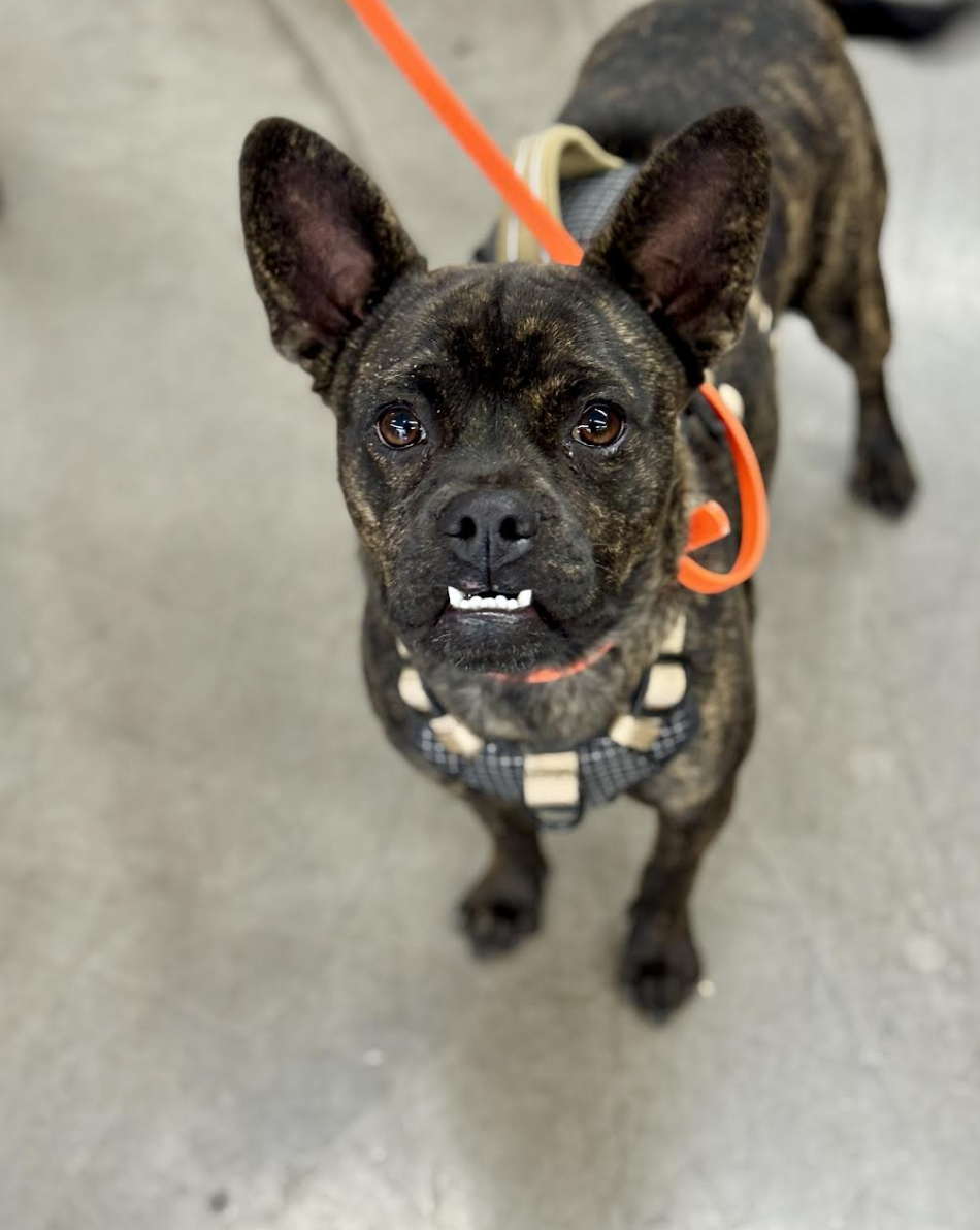 Screenshot 2025-12-07 at 9.06.45 PM.png