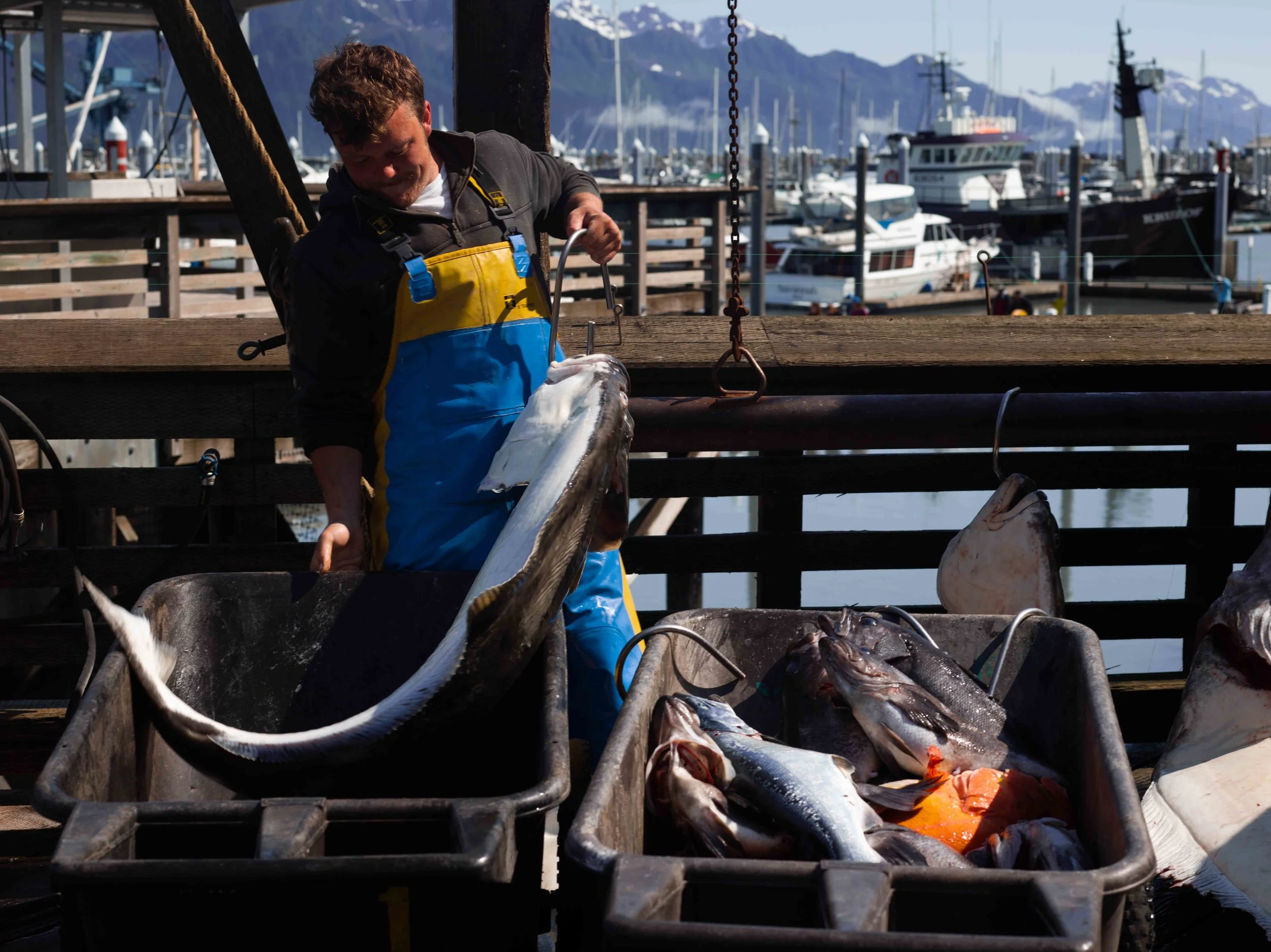 Alaskan Fishing Charters & Wild Fish Market
