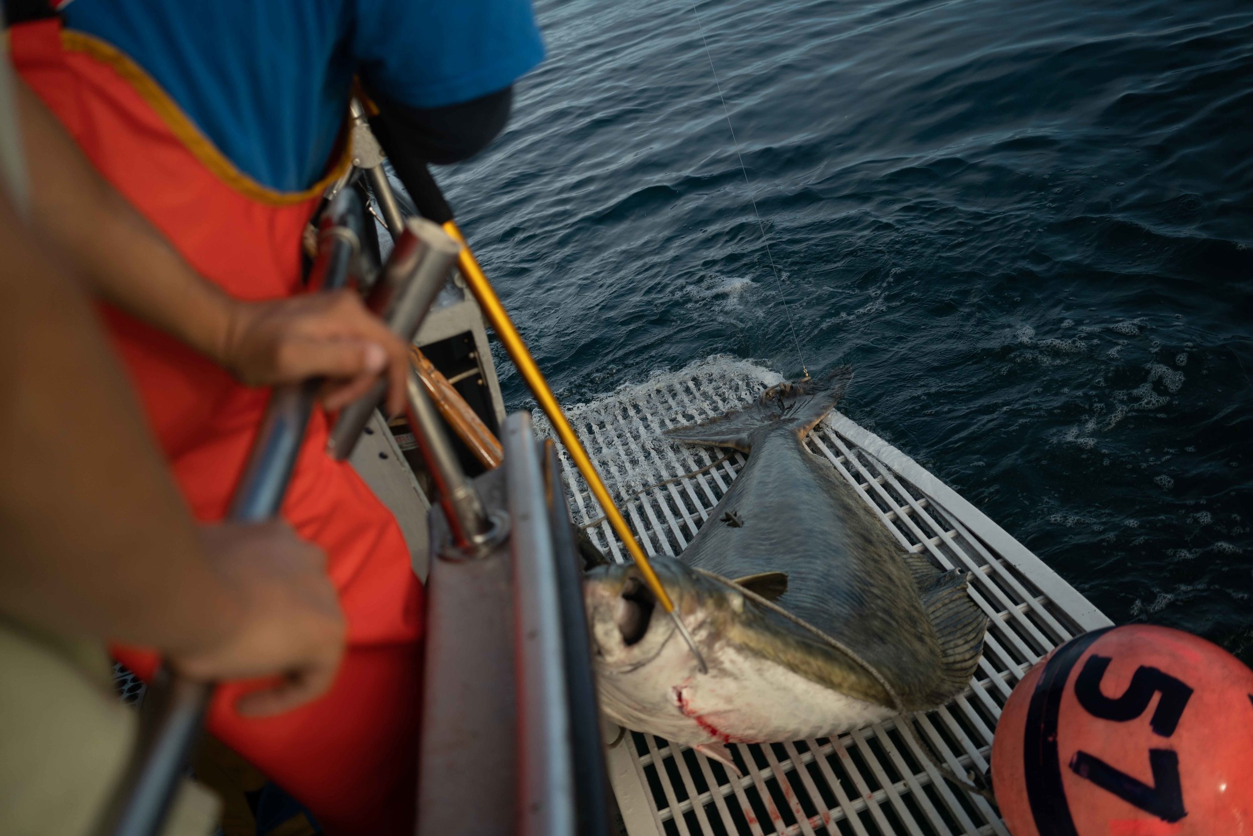 JDOCK Halibut & Salmon Fishing Charters in Seward Alaska