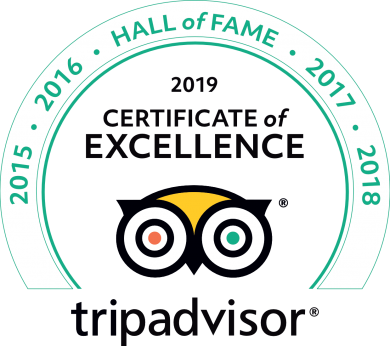 2019-TripAdvisor-Certificate-of-Excellence-Hall-of-Fame-Green-line-transparent-390x346.png