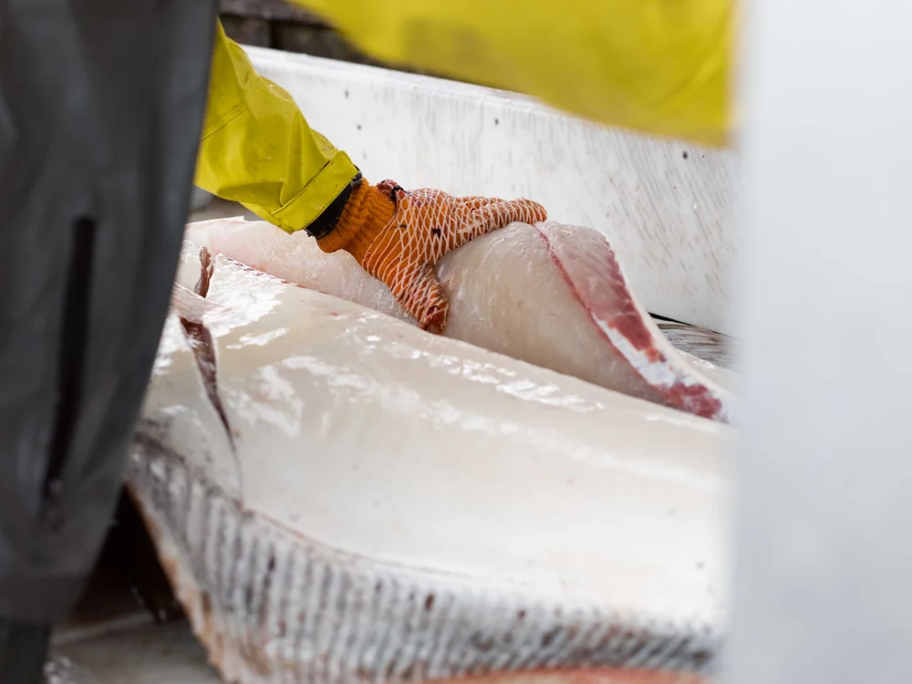 J-DOCK Halibut & Salmon Fishing Charters in Seward Alaska