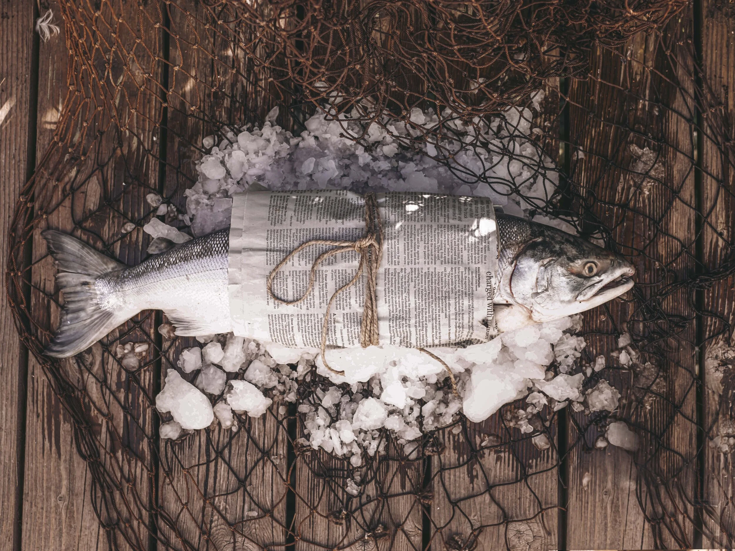 CF046200 (1)-min.jpg