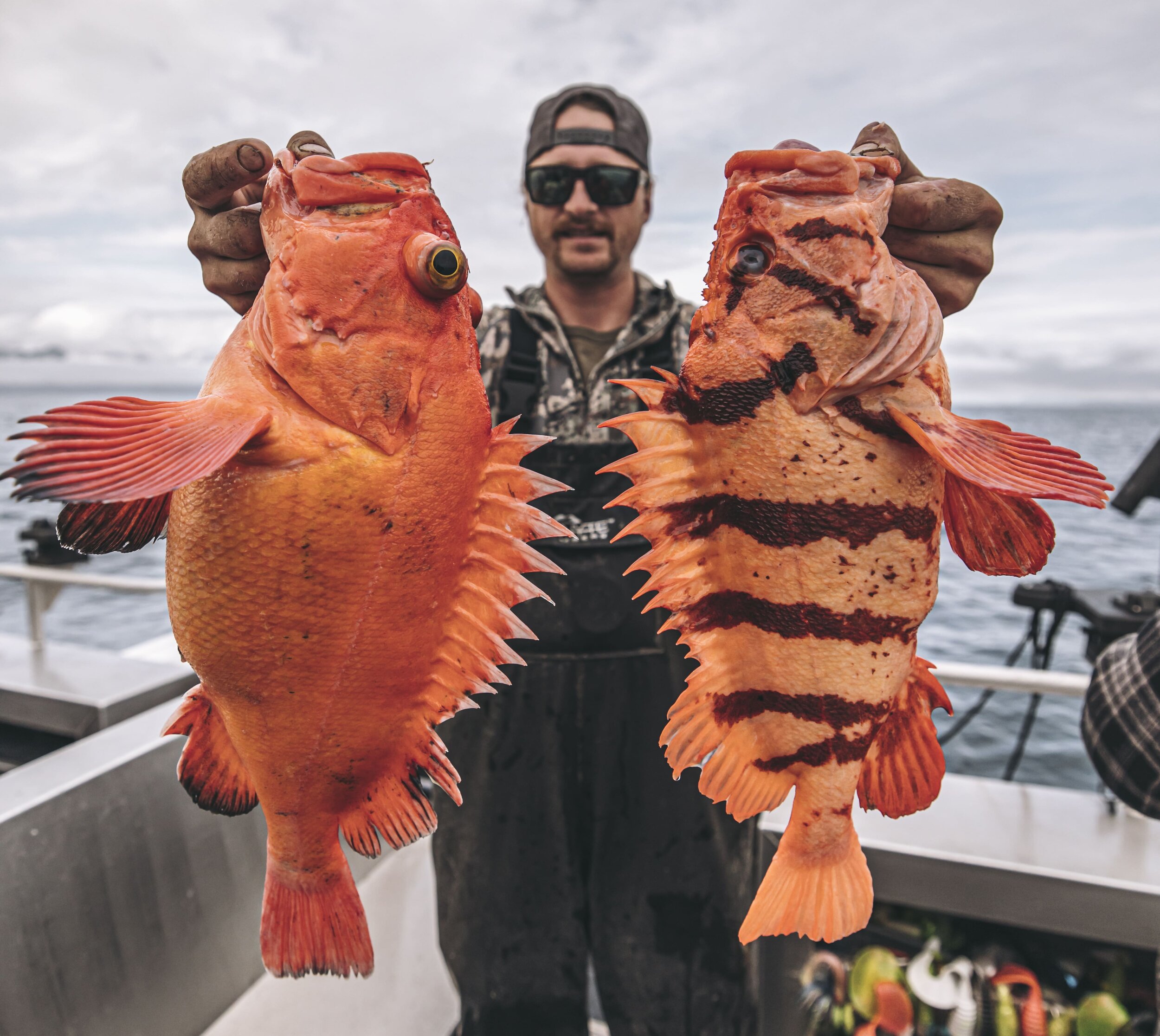 _R5A5682 (2)-min.jpg