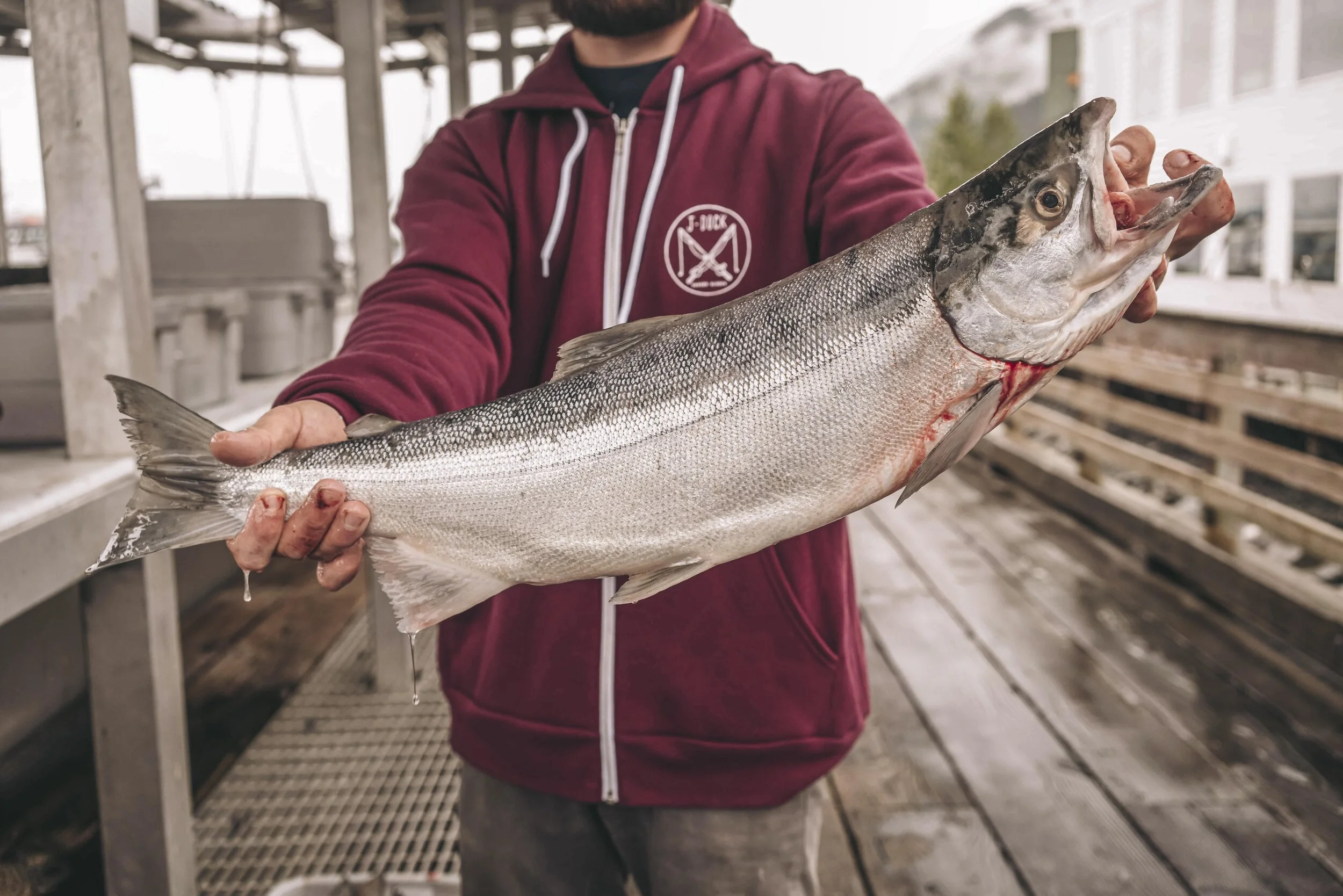 DSC04688 copy (1)-min.jpg