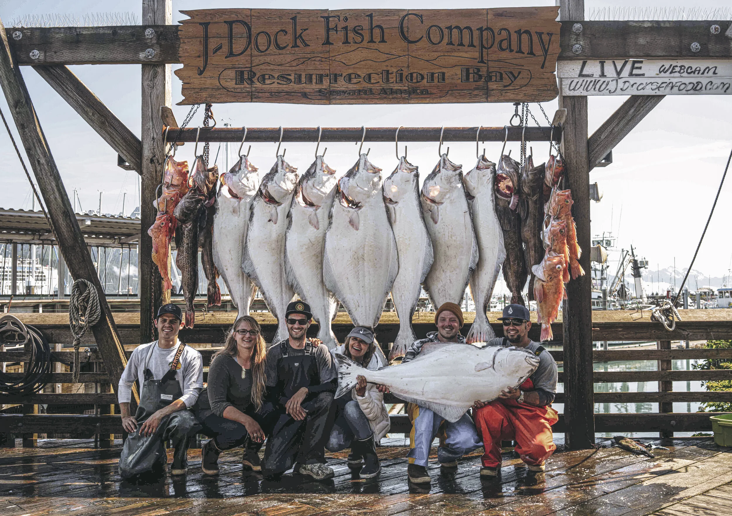JDOCK Halibut & Salmon Fishing Charters in Seward Alaska