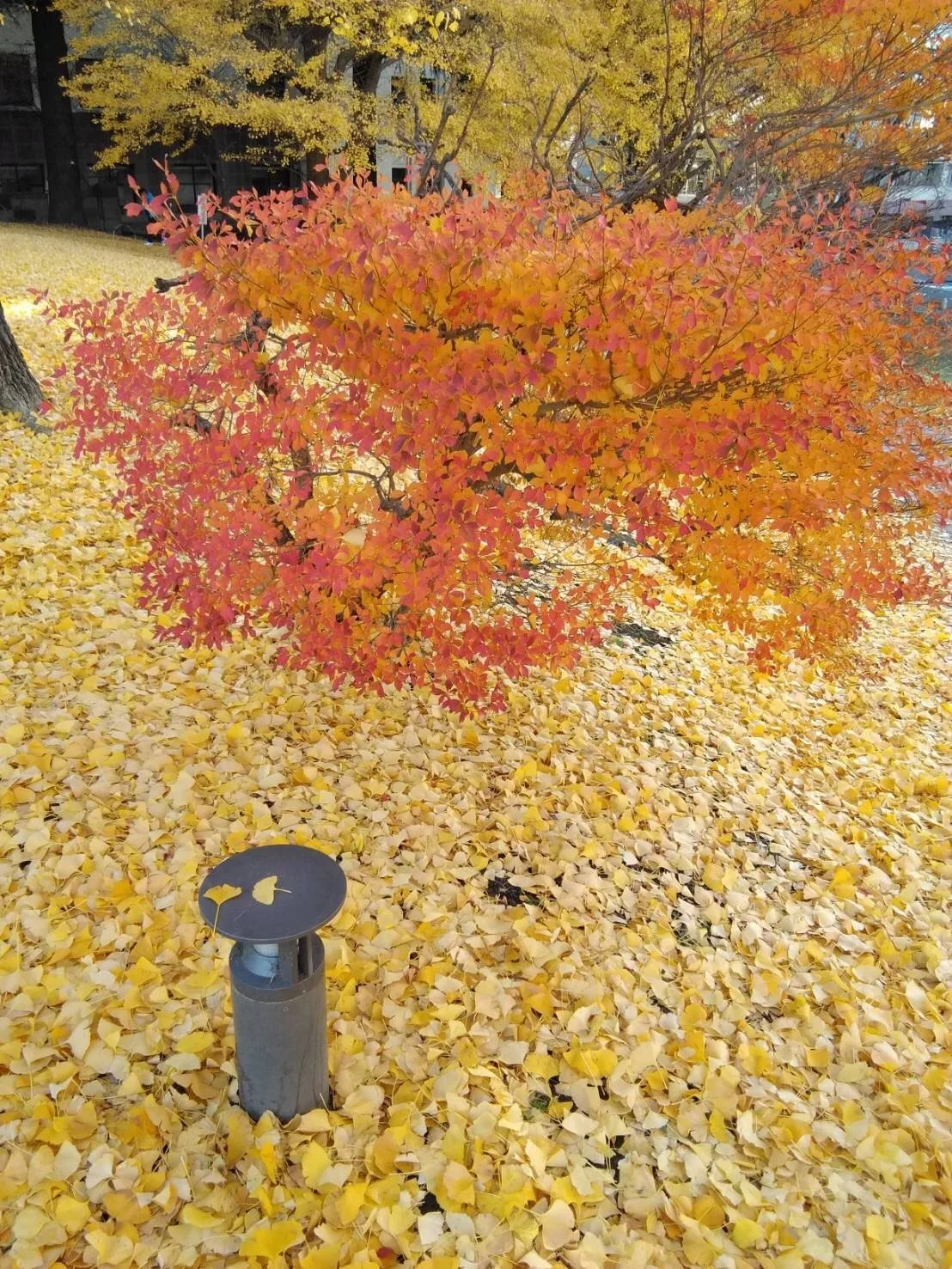 Photography Class_171210_0002.jpg