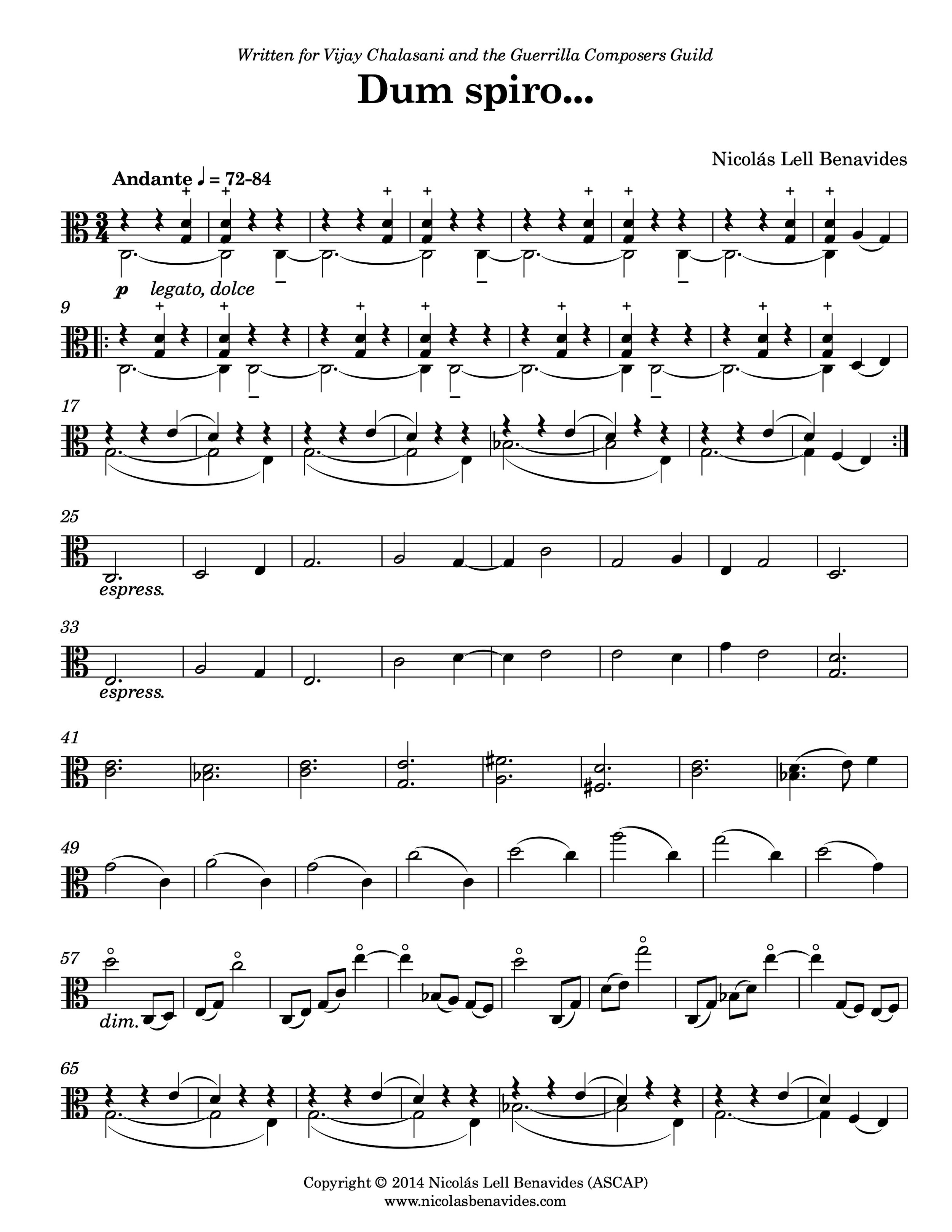 Dum spiro... for viola_Benavides.jpg