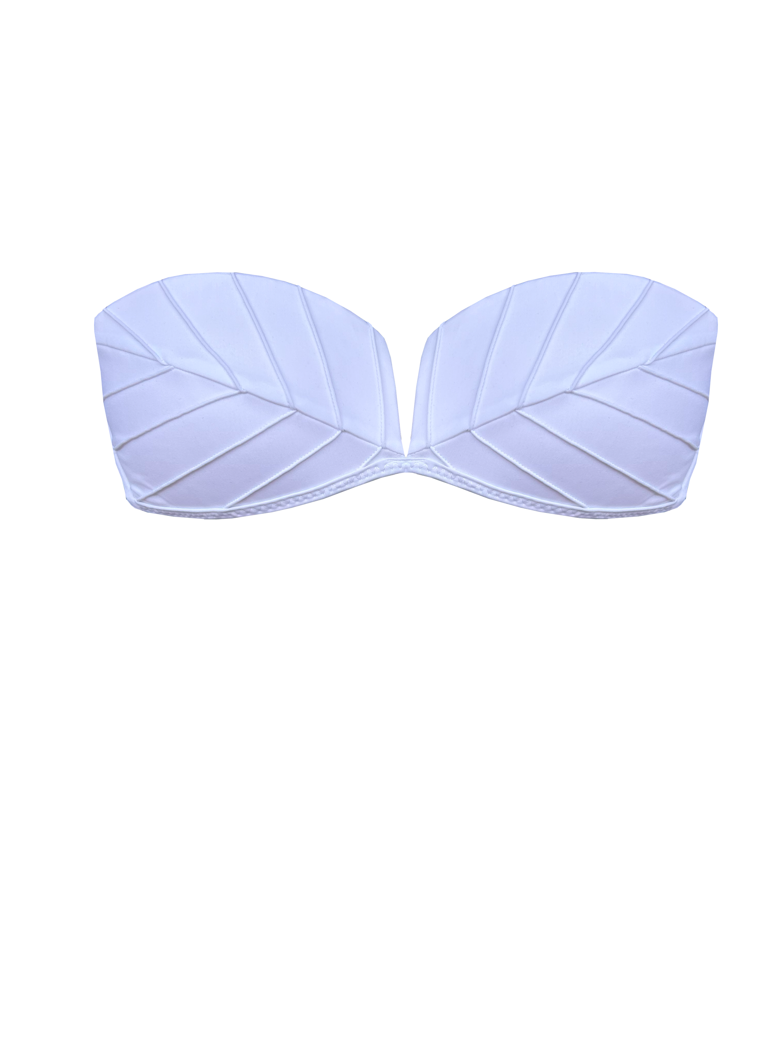 IMG_4700.png