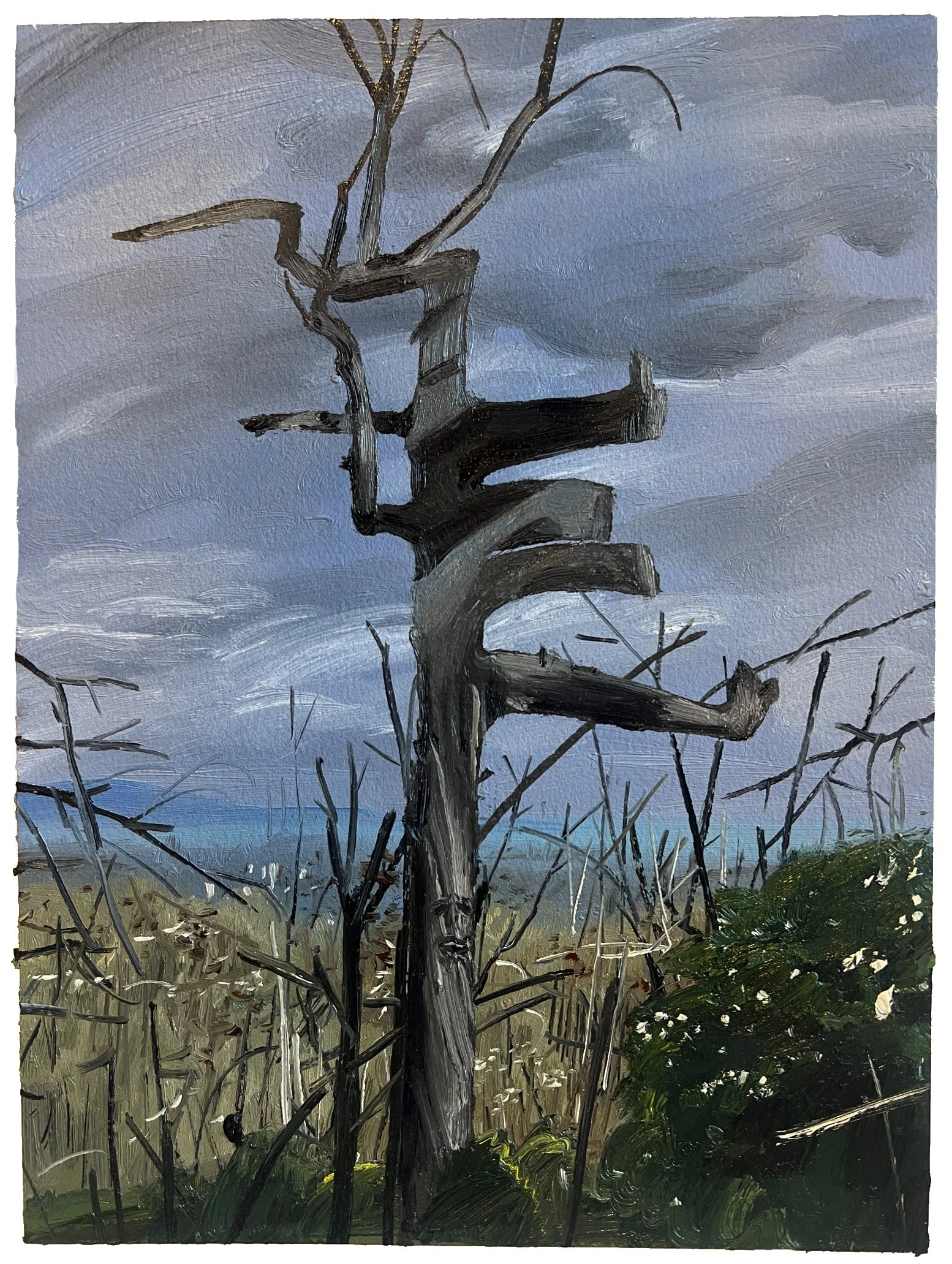 Stump Face Alternate