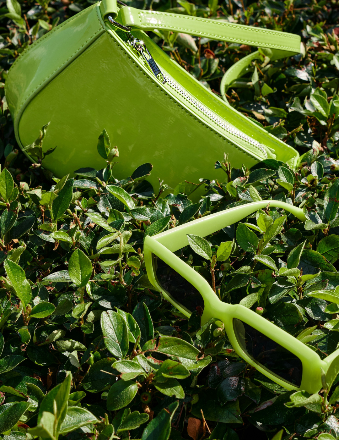 Go Green: The Psychology of Colour&nbsp;