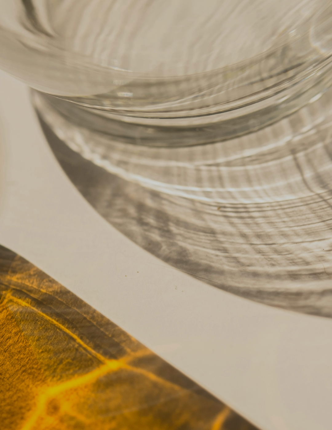 Adding Movement to your Brand