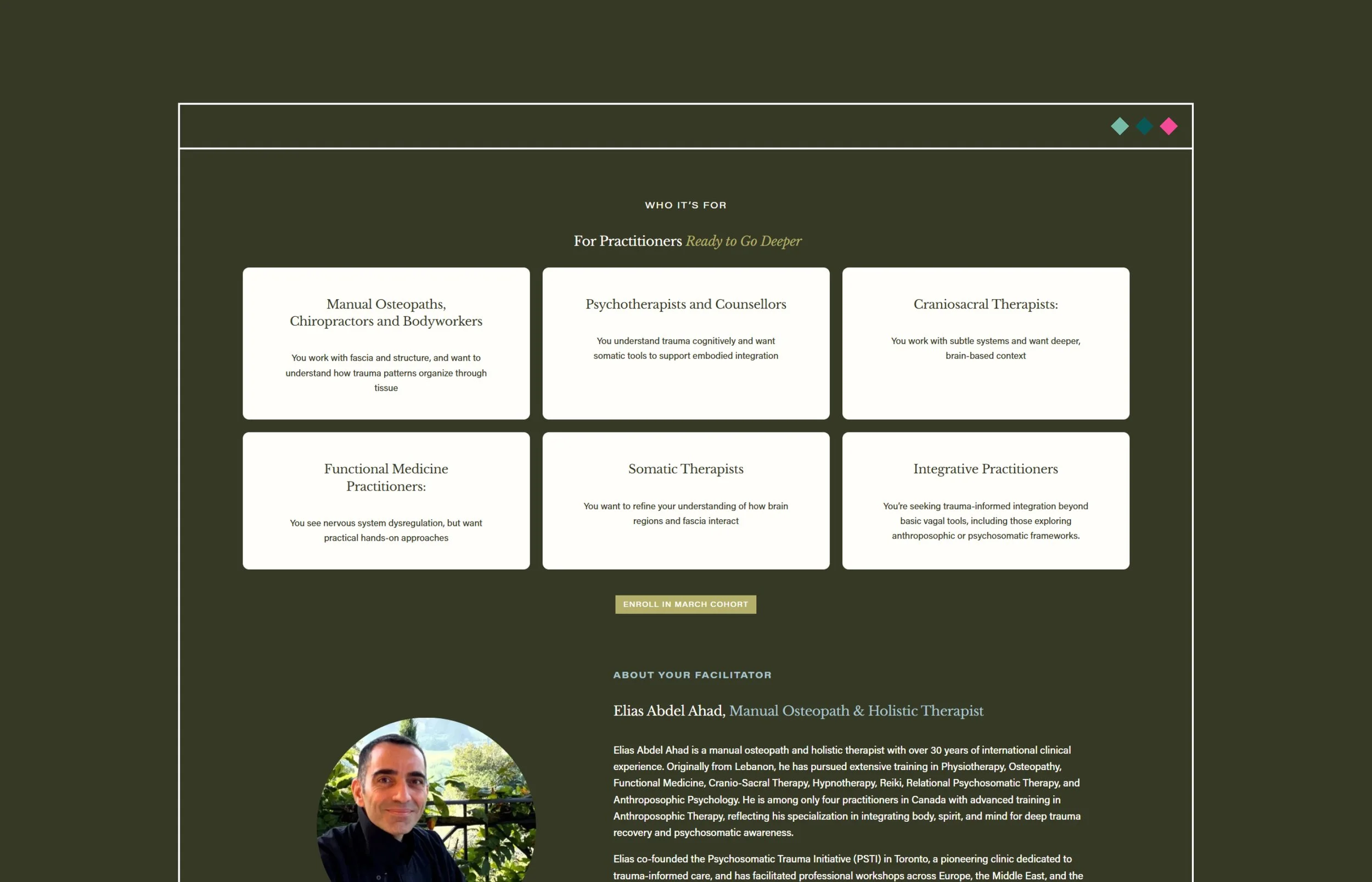 Cedar and Mint - Portfolio Pages - Toronto Lymphatic Academy14.jpg