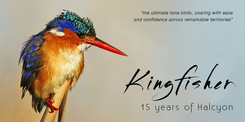 Kingfisher - 15 years of Halcyon celebration