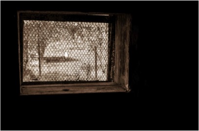 Stolen - Halcyon &amp; Soundstream Collective