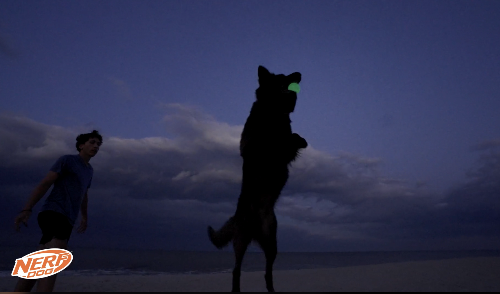 Nerf Dog Glowball (Amazon)